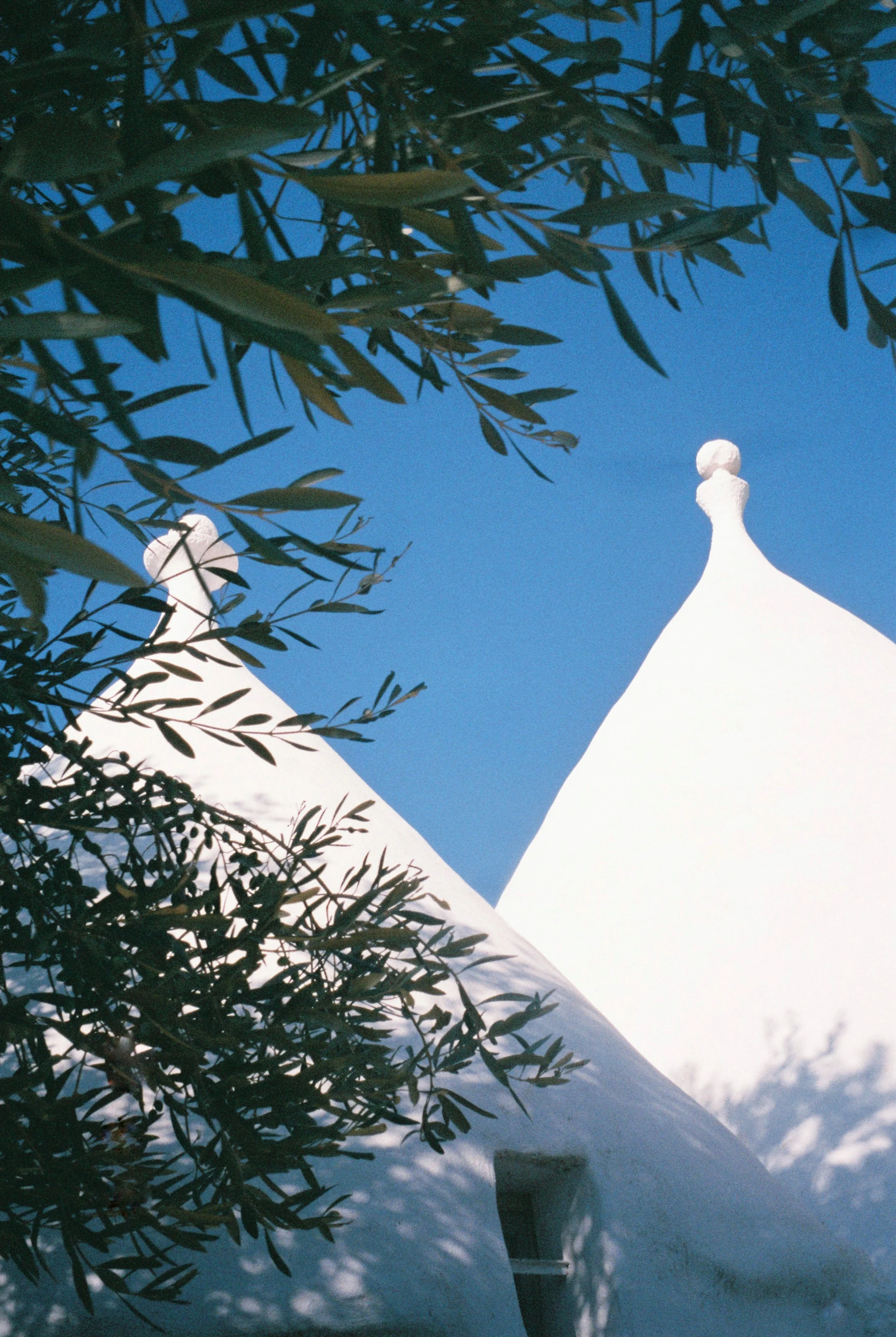 Puglia: a home from home