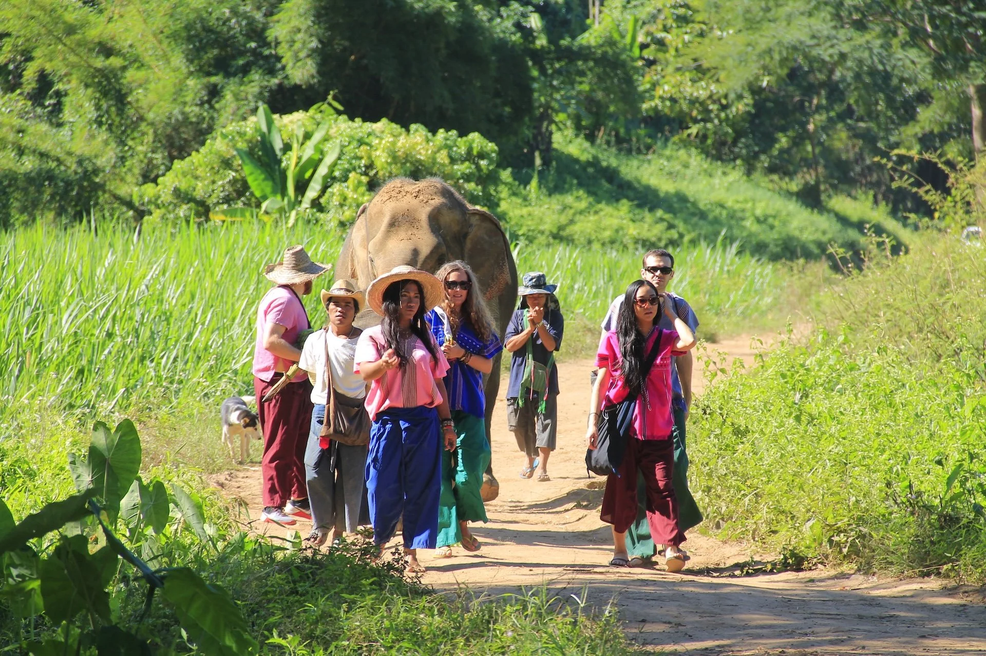 Happy Elephant Home4.JPG