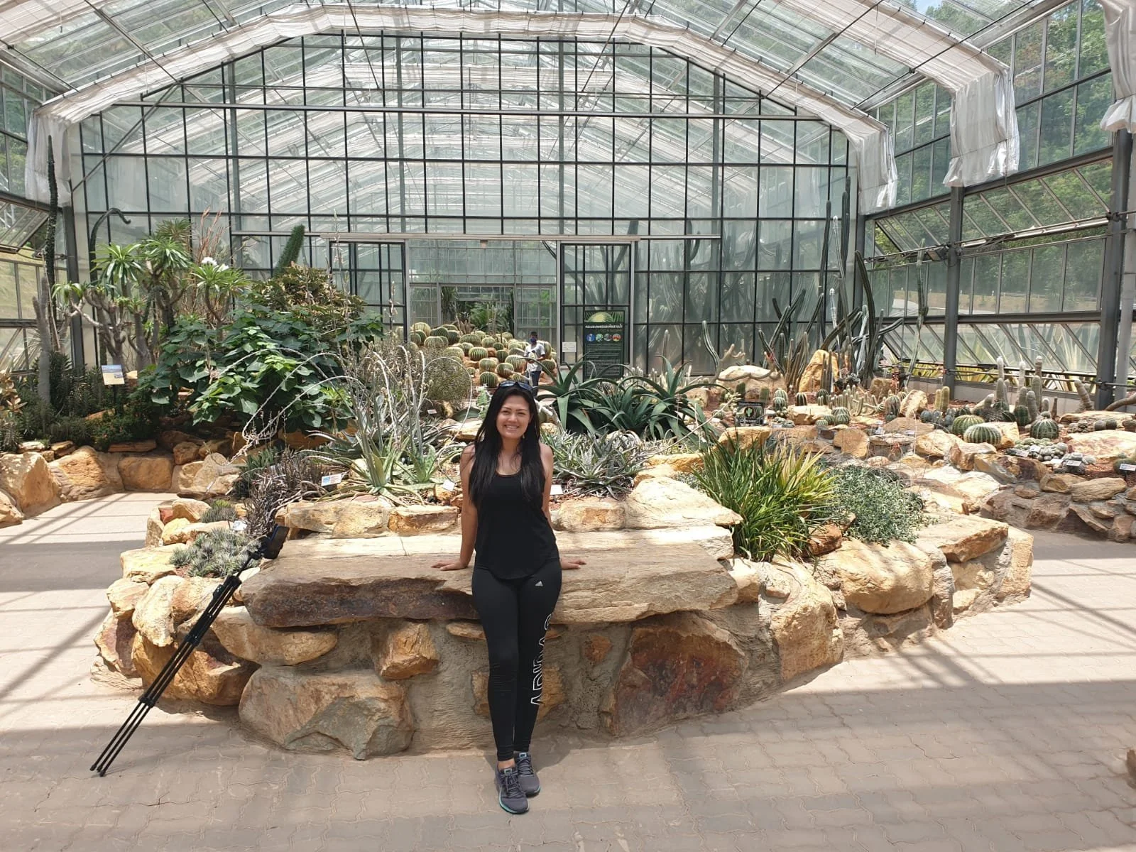 Cactus Glasshouse.jpeg