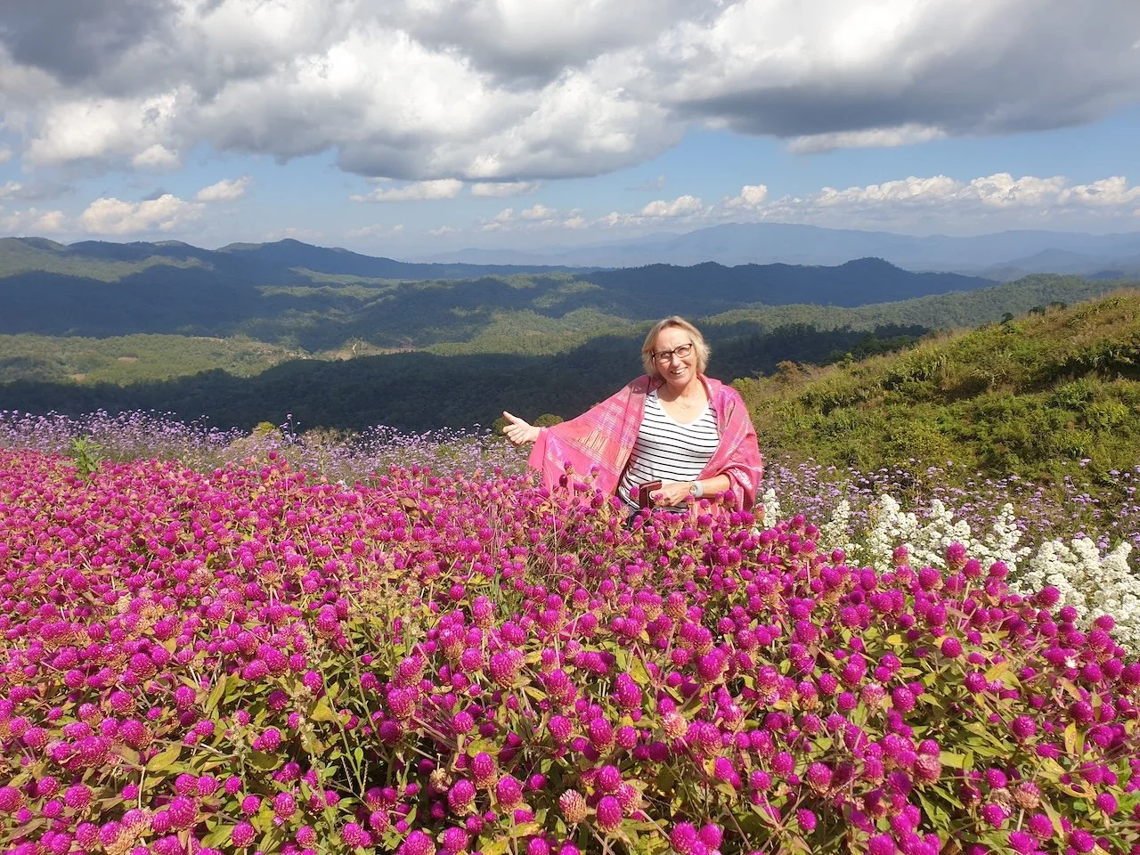 Flowerfields Pai.jpg