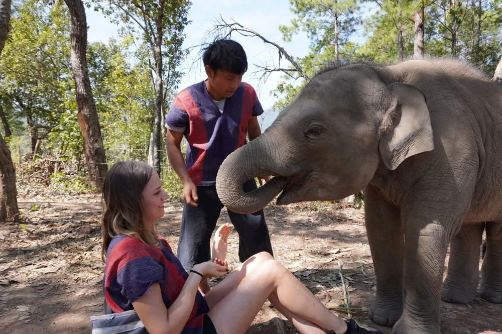 Elephant Freedom Village 2.JPG