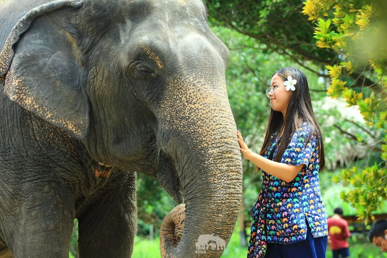 Kanta.Elephant (42).jpeg
