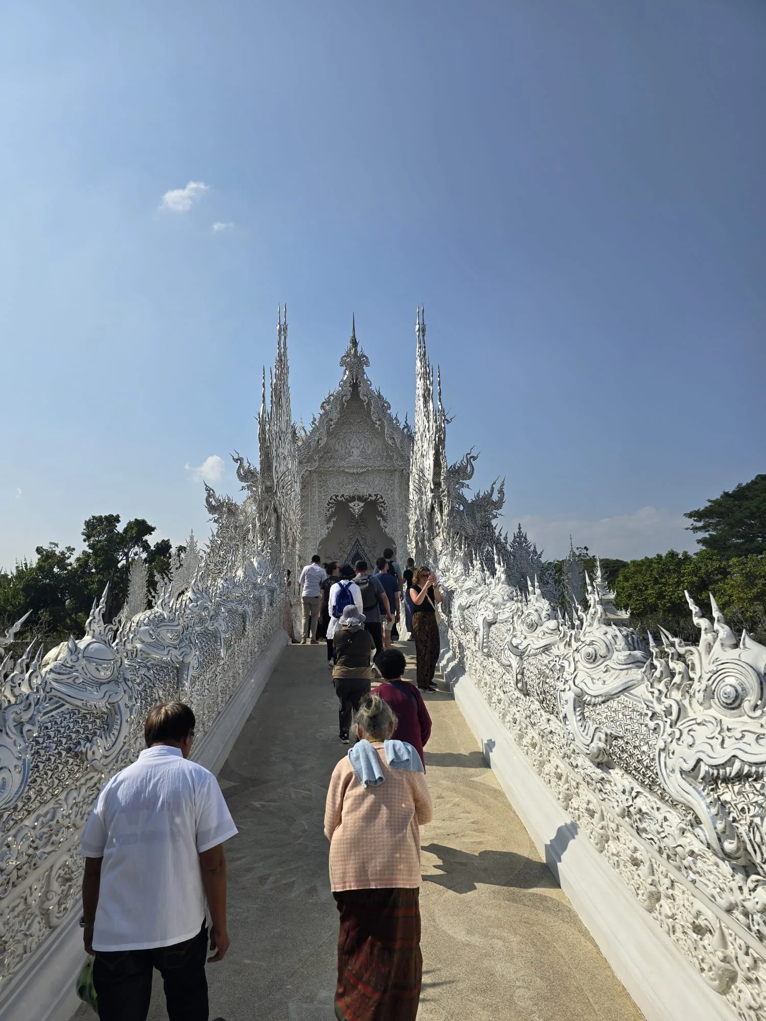 WhatsApp Image 2026-03-03 at 10.21.56 AM.jpeg