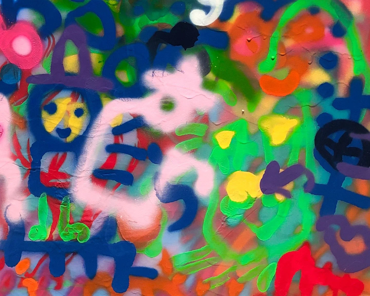 VISTA MESA ECU-5.jpg