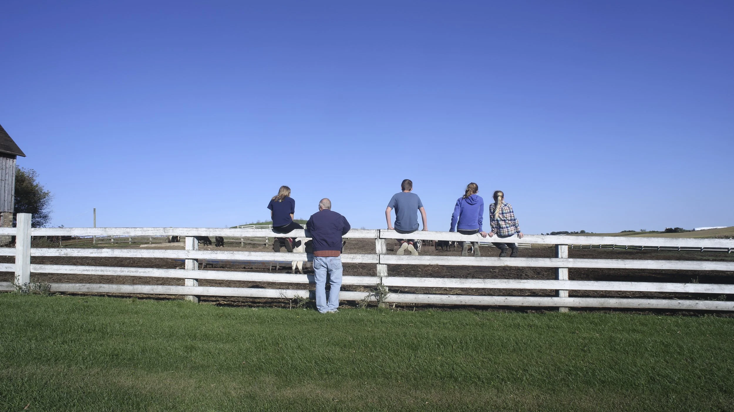 COMMERCIAL LB-11.jpg