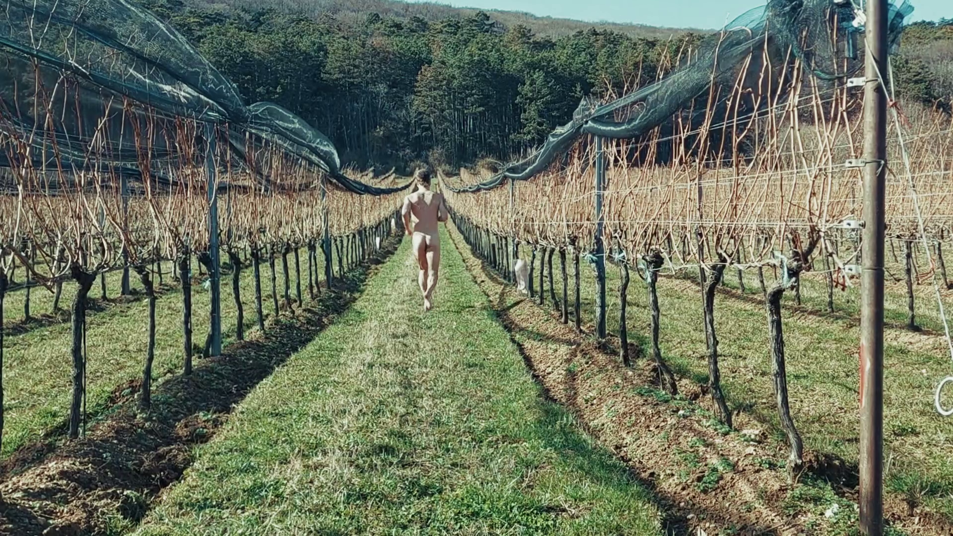  Video still from performative walk through cultivated landscape. The body moves within imposed agricultural lines, testing how orientation, visibility, and exposure are structured spatially. © Daniel Hill, 2024 