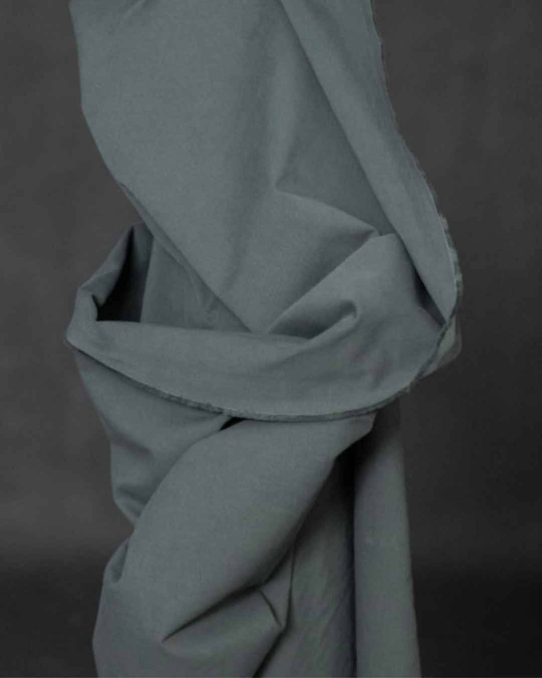 Untitled design - 19.png