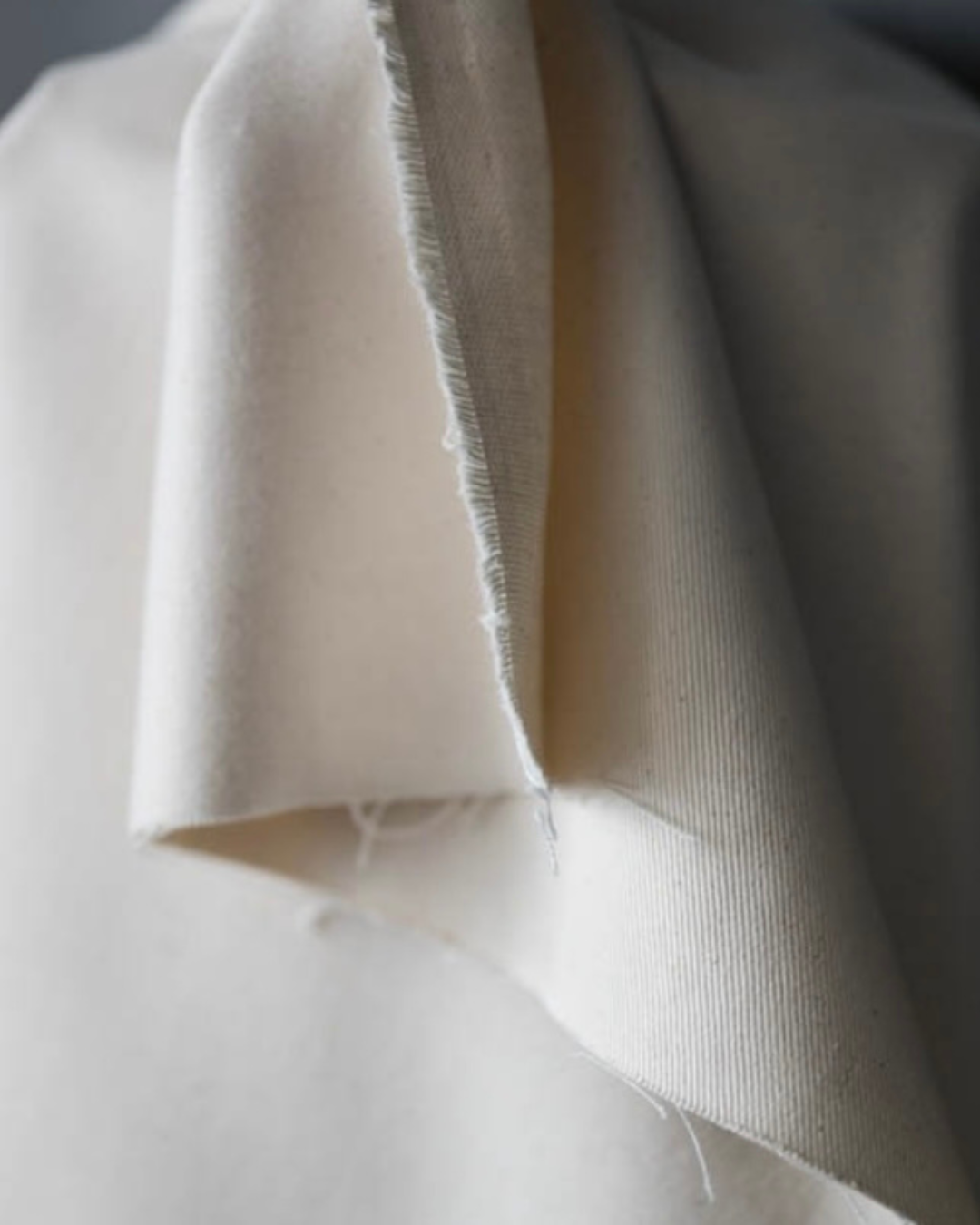 Untitled design - 21.png