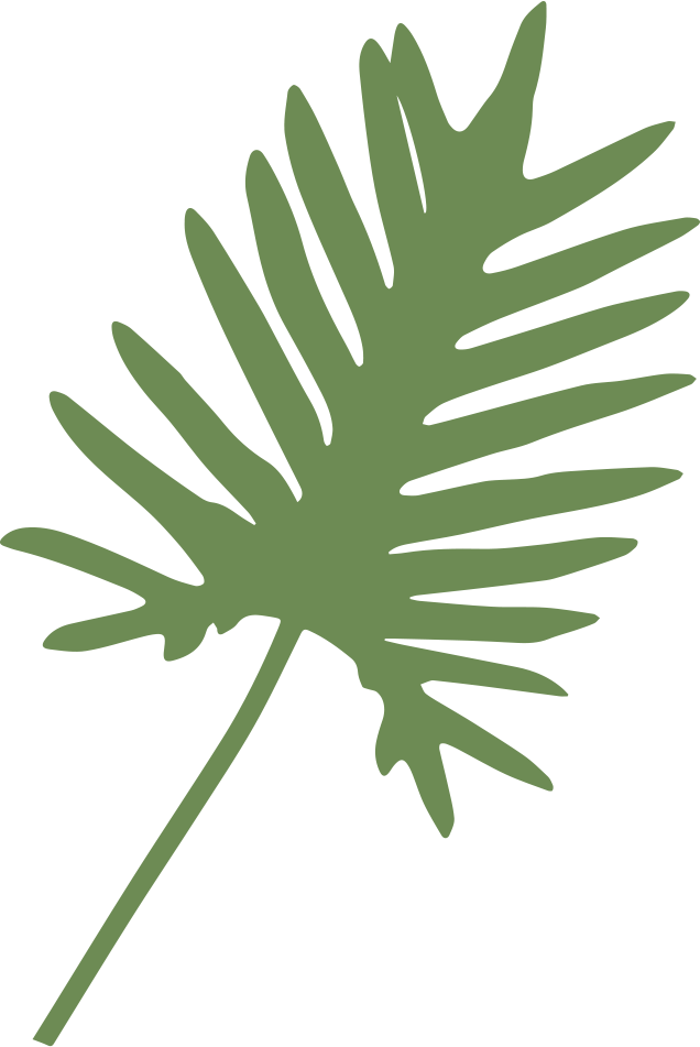 Philodendron Xanadu