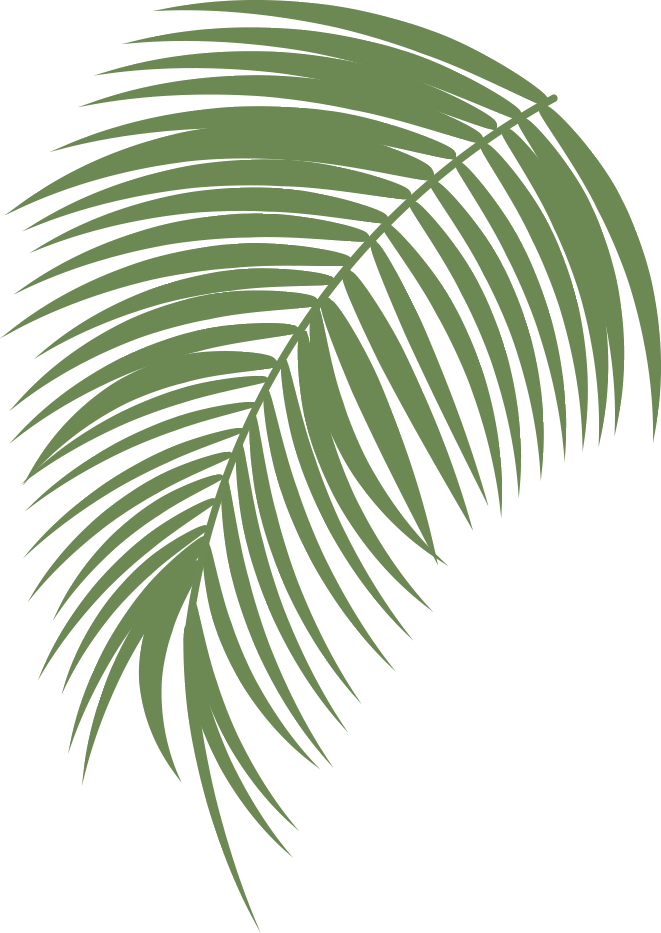 Cascade Palm