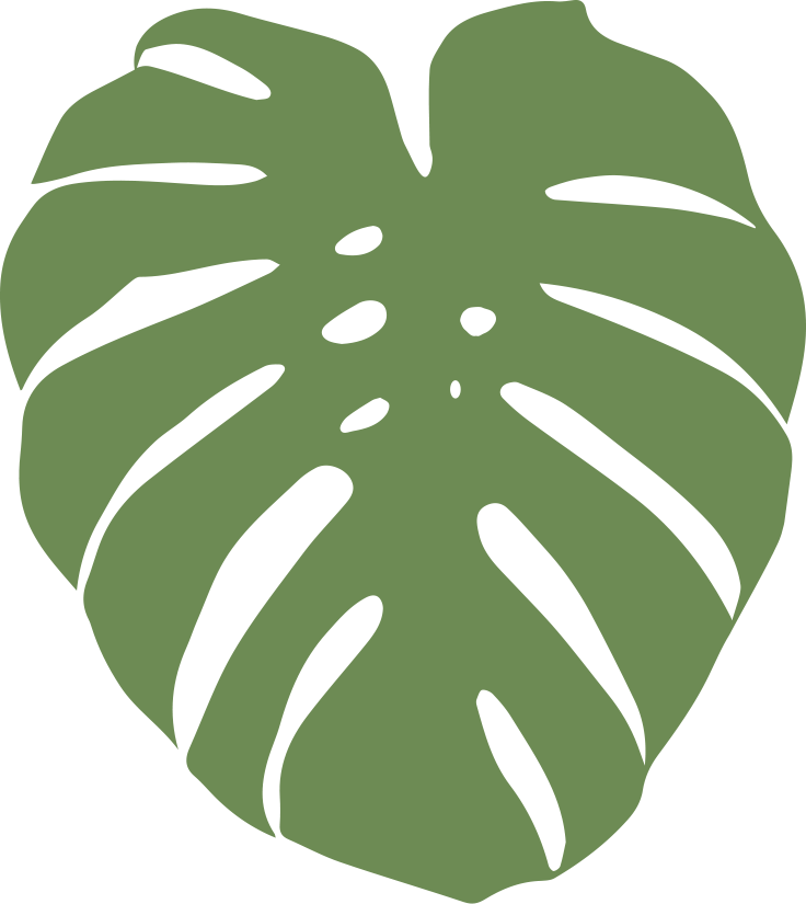 Monstera