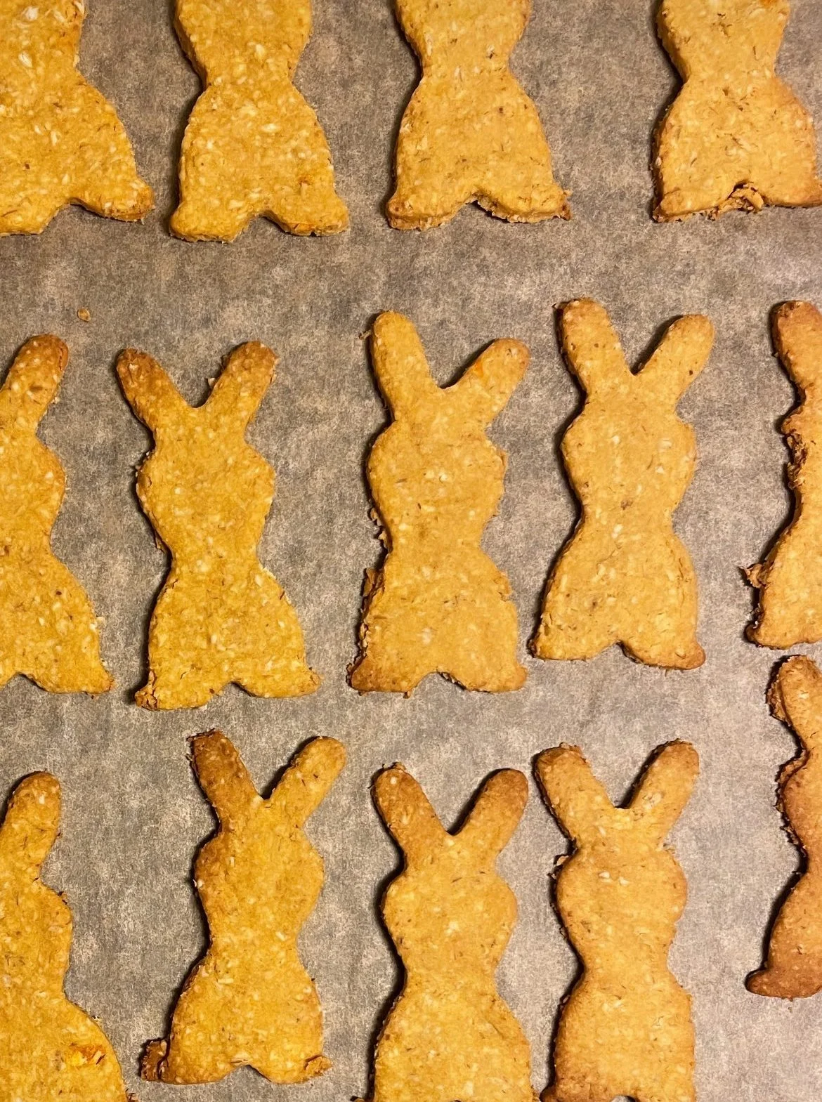 Bunny-shaped cookies on a baking sheet, plant based, vegan and cruelty free