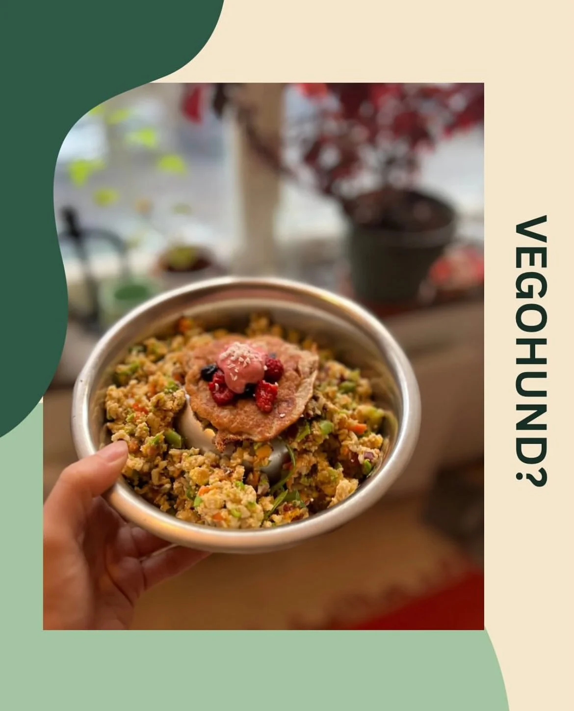 A bowl of vegan dog food with chopped vegetables, a fried topping, and berries on top, held by a person's hand.