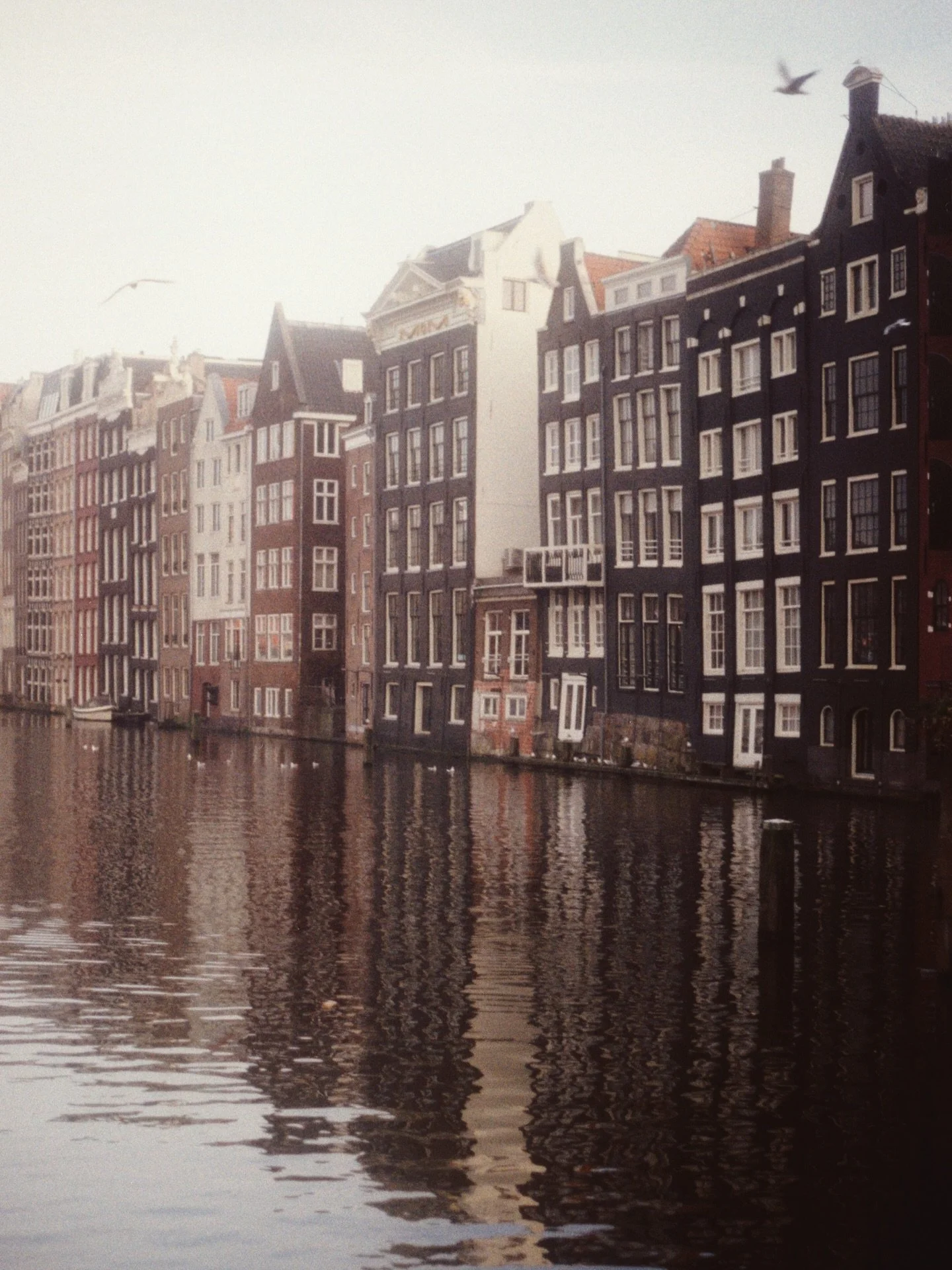 Amsterdam memories 
.
#madewithkodak #filmcameras #filmphotographer