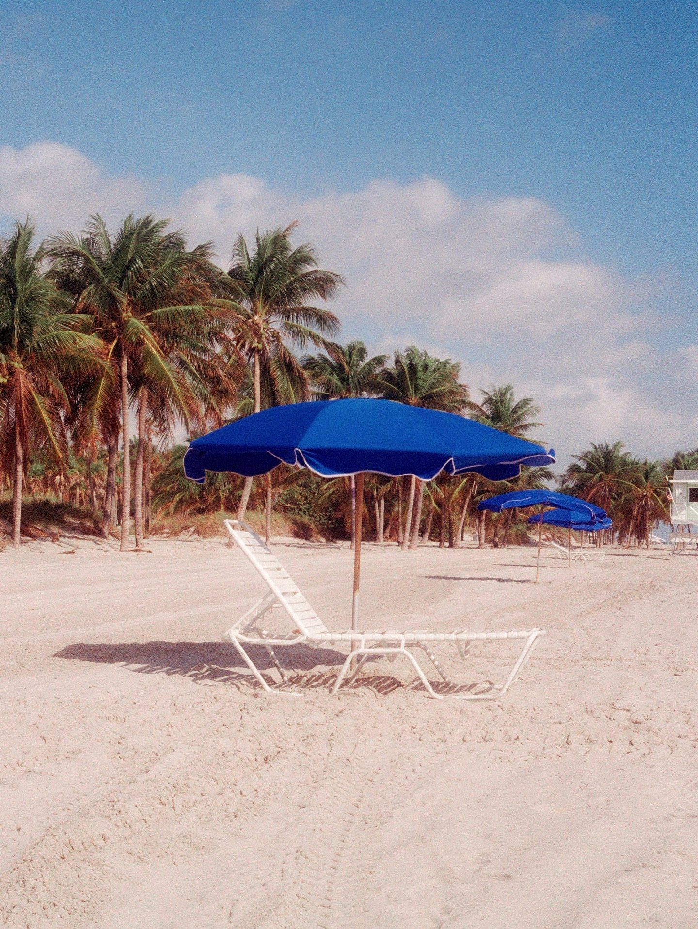 2025 on film ✨
.
#travelonfilm #filmphotography #madewithkodak #filmphotographer #35mmfilmcamera