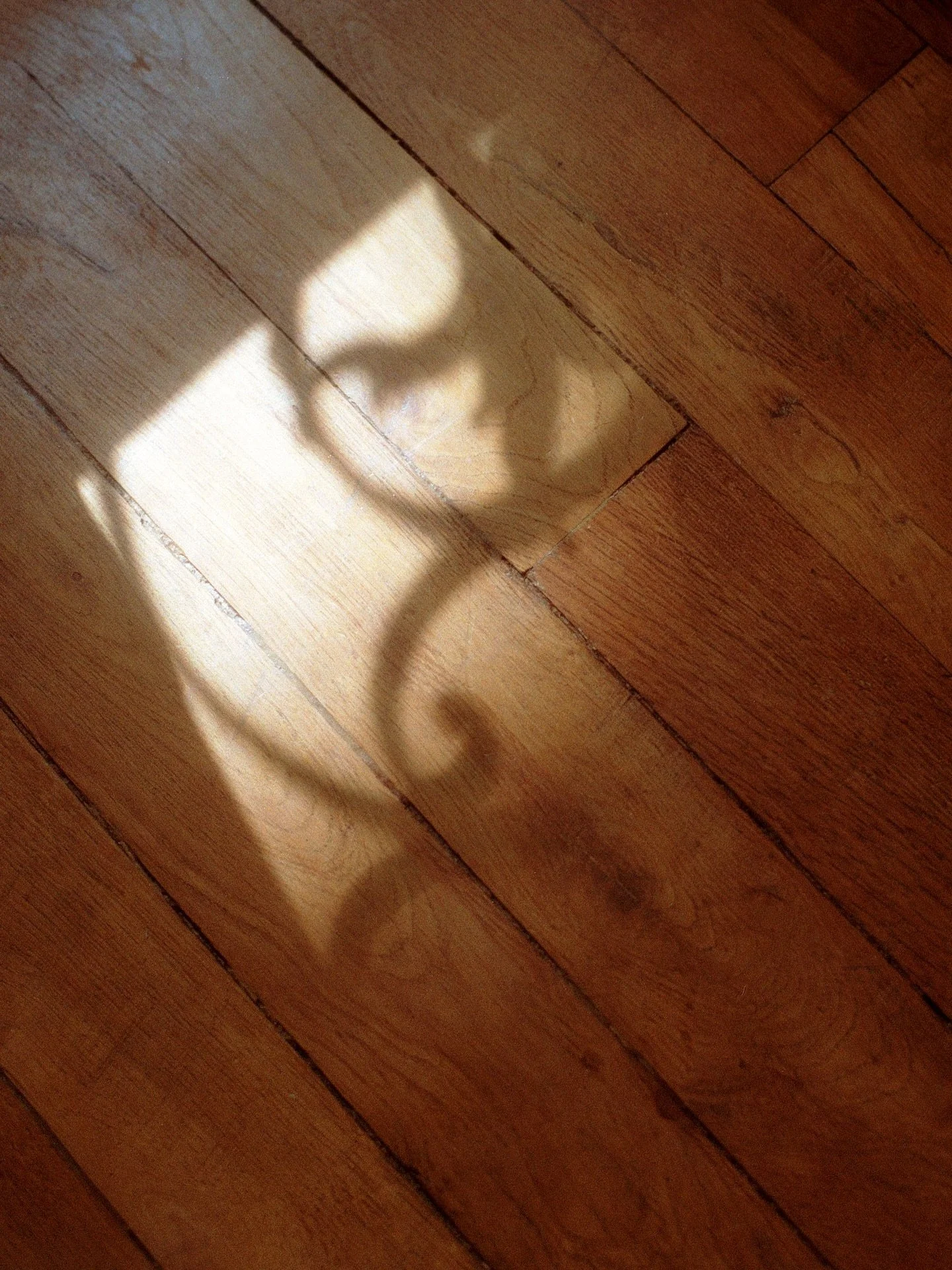 soft hours at home 
. 
#parisphotographer #filmphotographer #35mmfilmcamera