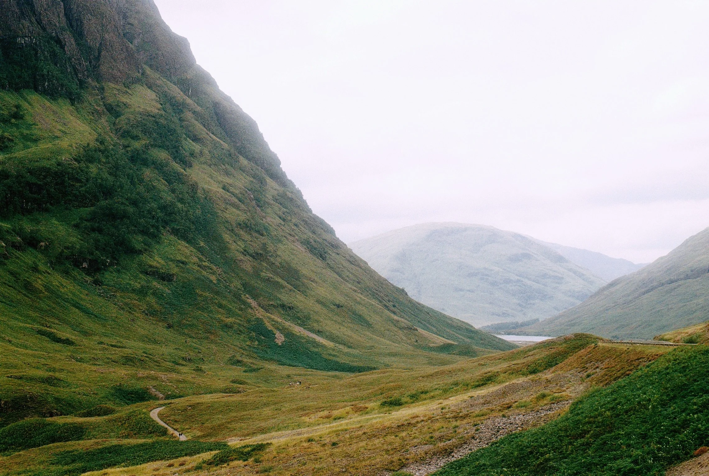 A little collection from the Highlands 

📷 Contax S2 
🎞️Kodak gold 200