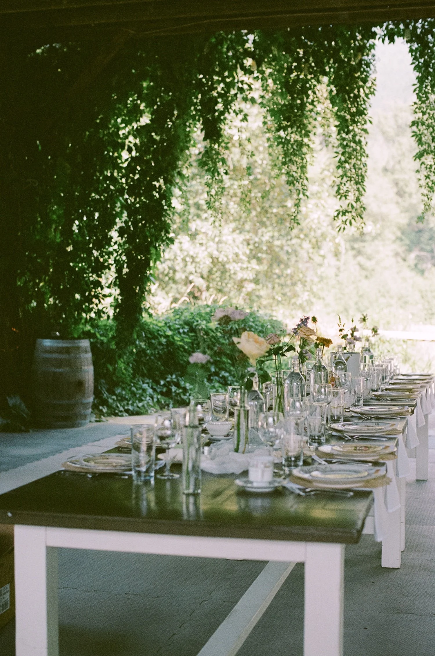 Kaitlyn+Alex_Film-104_websize (1).jpg.jpg