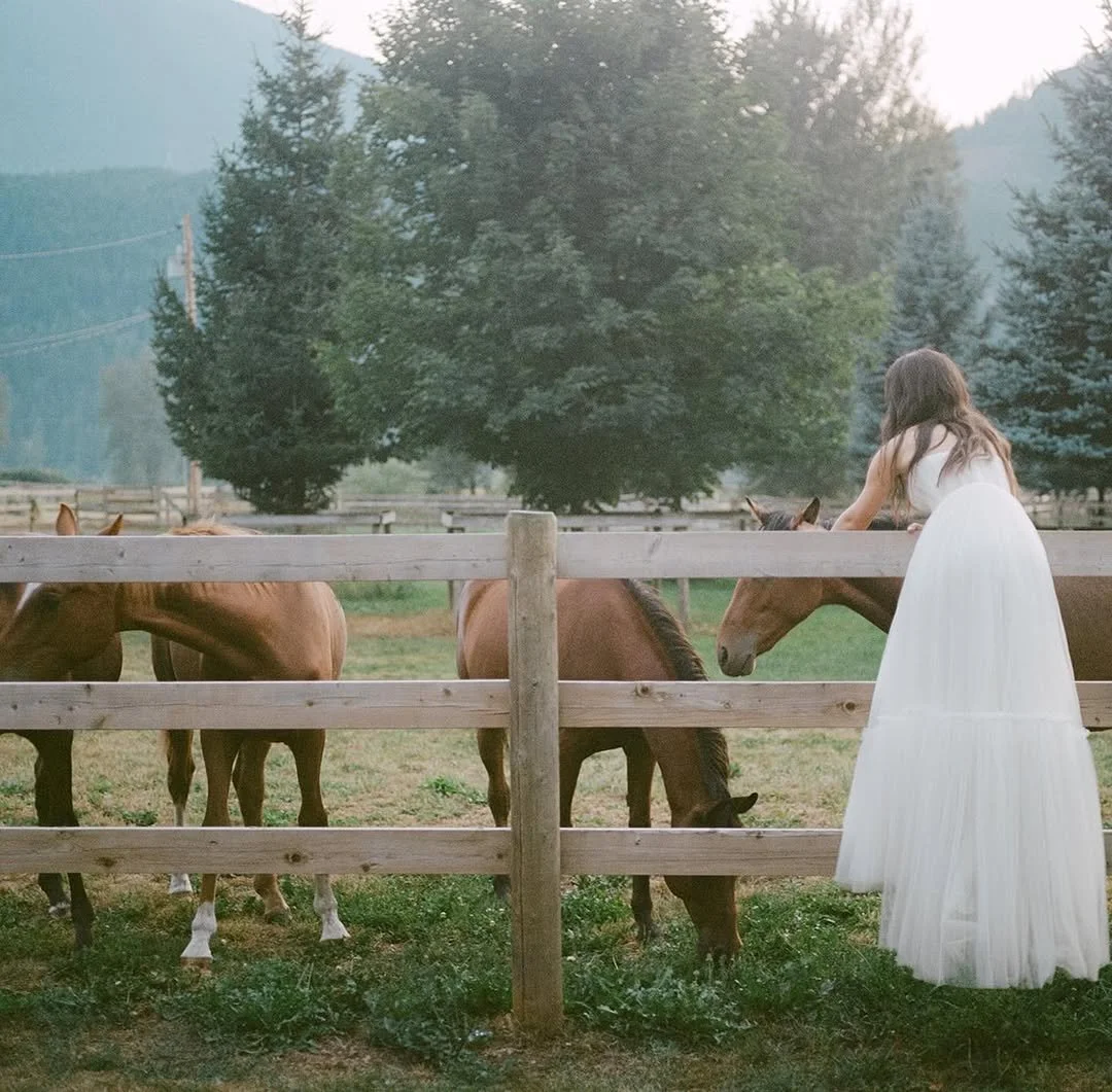 Never marry a horse girl 🐴 - on film.jpg