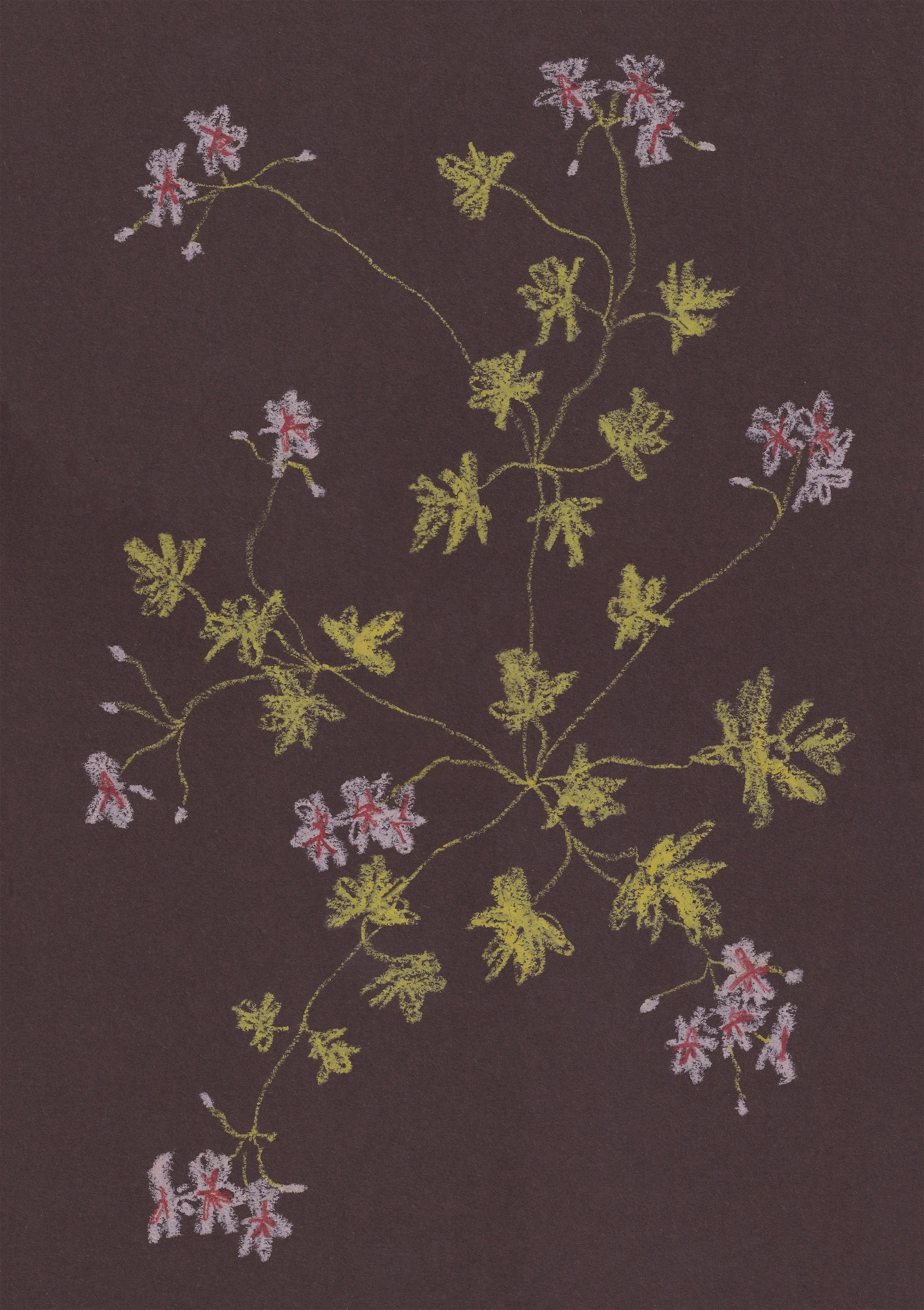 Chocolate & Chartreuse - Pastel Artwork by Jasmyn Kopcsandy