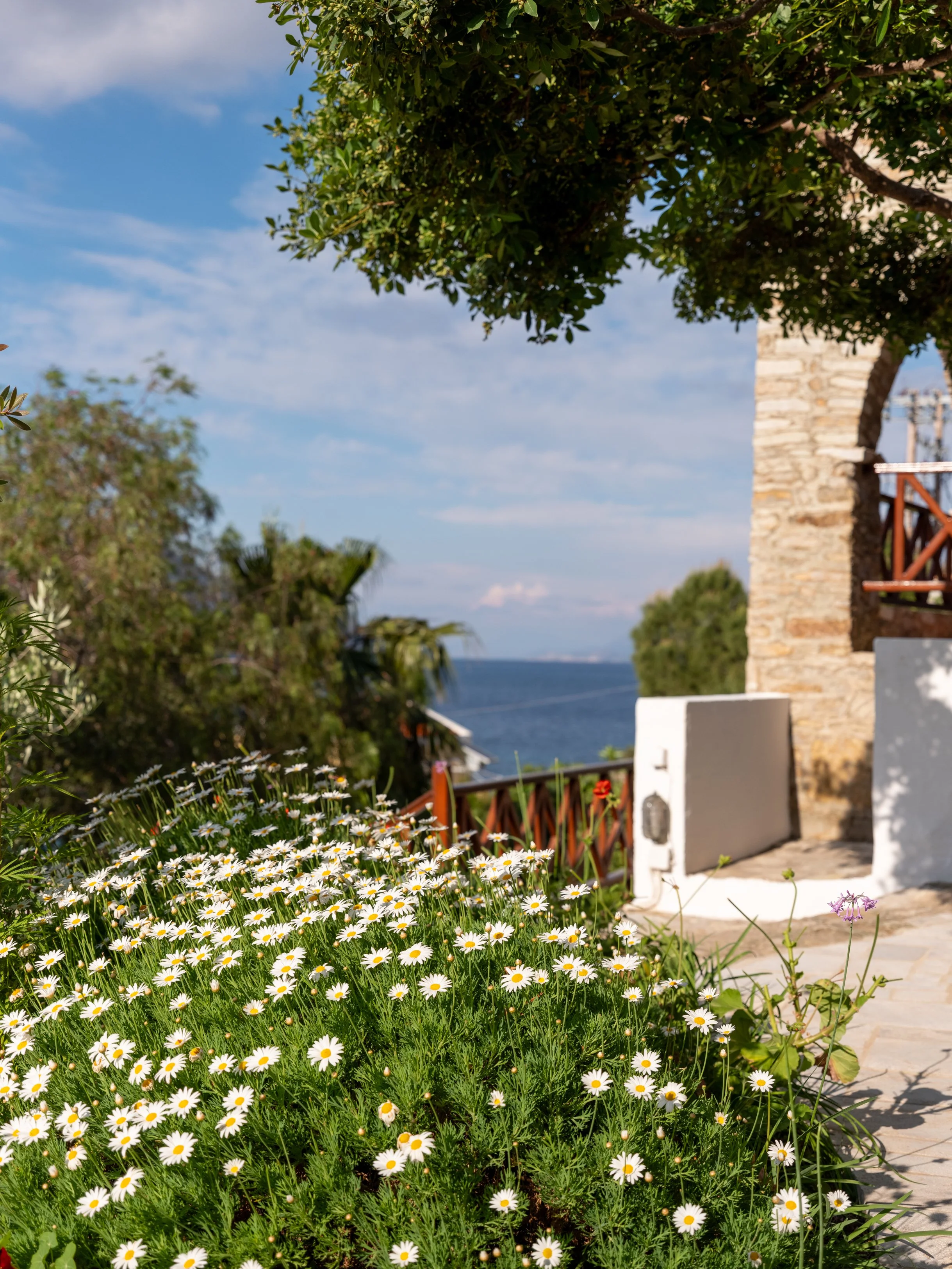 selene-greece-terrace-house-view-symi.jpg