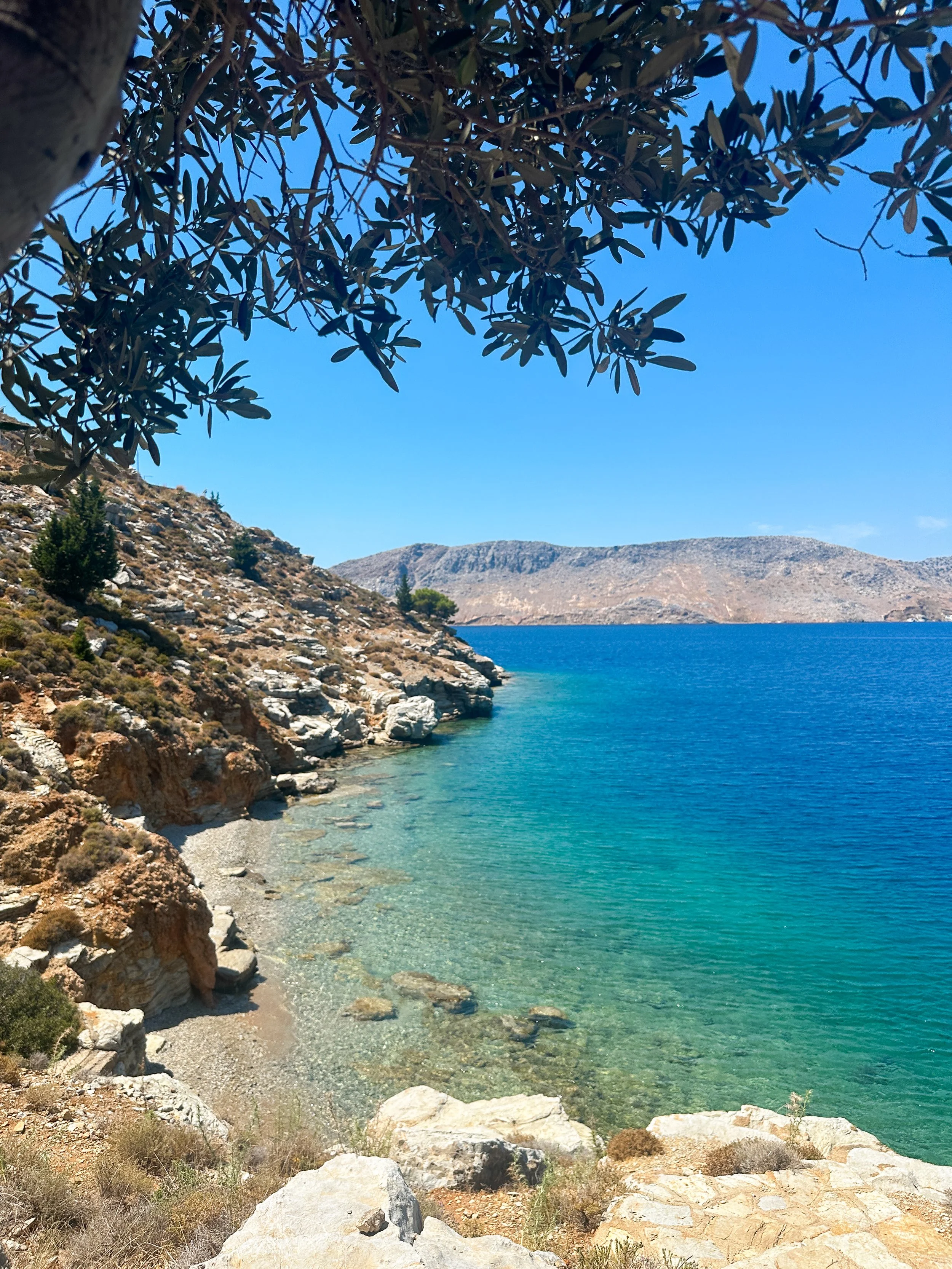 A tranquil cove near to The Selene Greece in Symi, with clear turquoise water, rocky shoreline, and mountains in the background, shaded by  olive tree branches. 