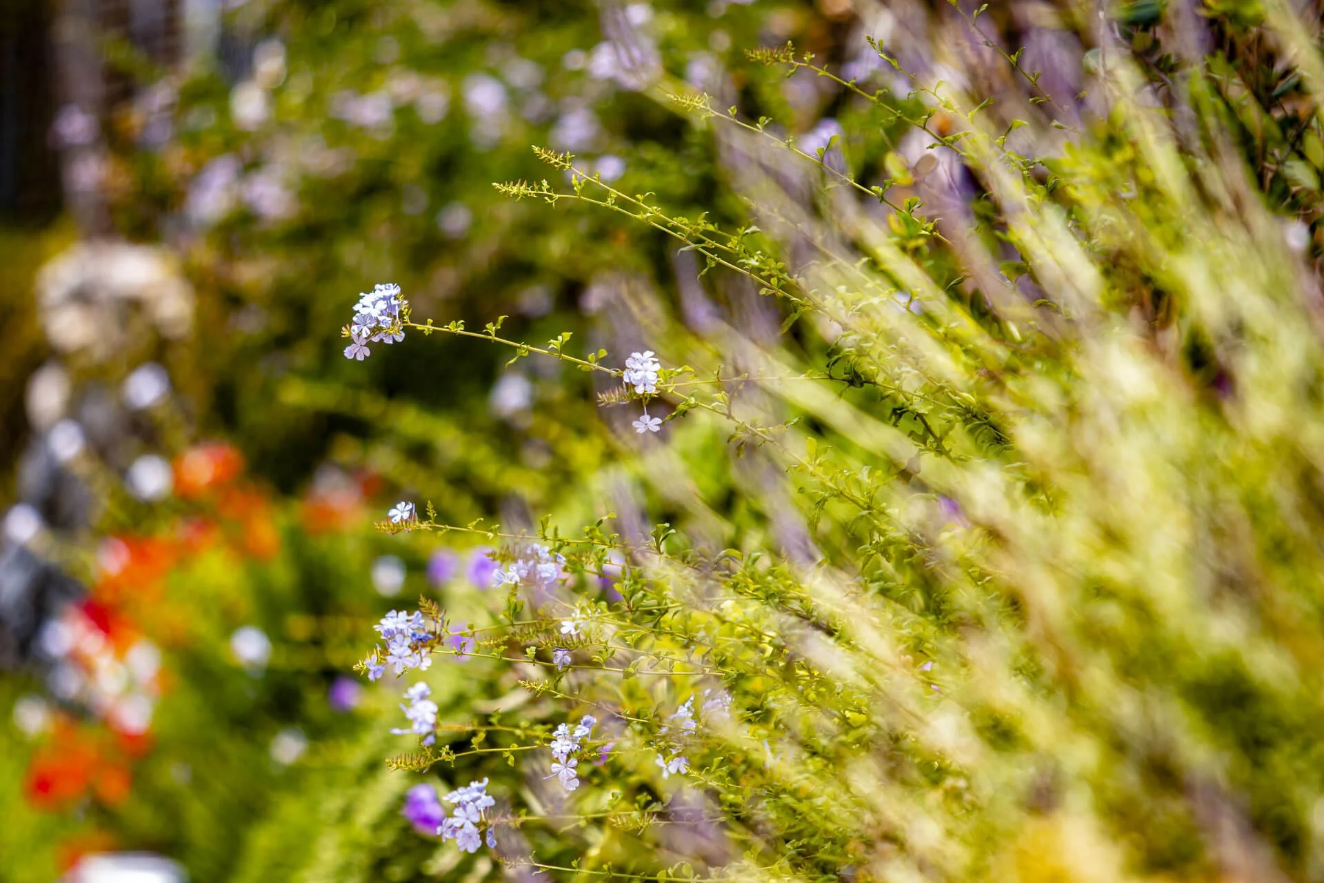 tailor_banner (1) comp.jpg