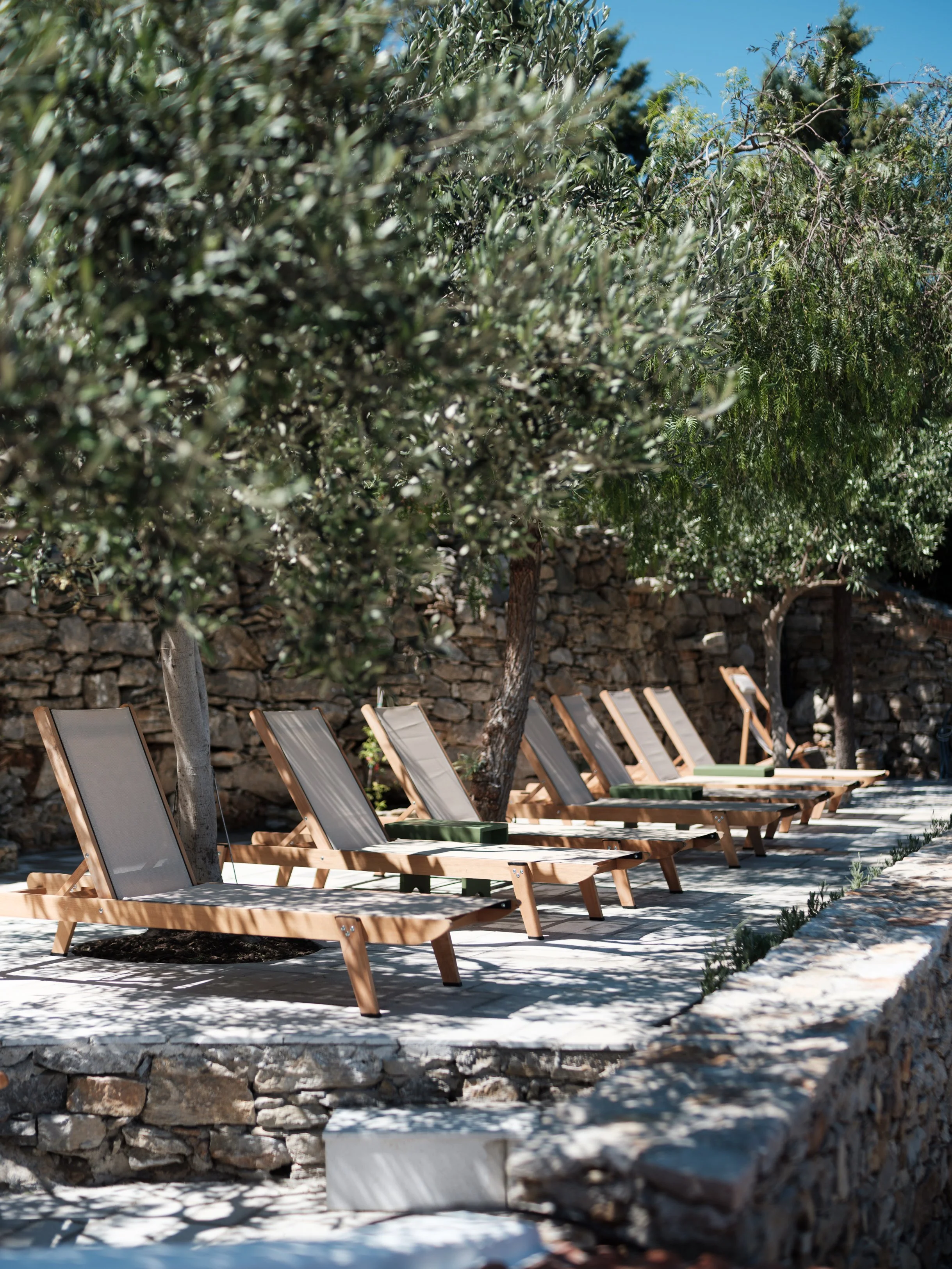 Sunbeds amongst the olive trees on the terrace at The Selene Greece Symi