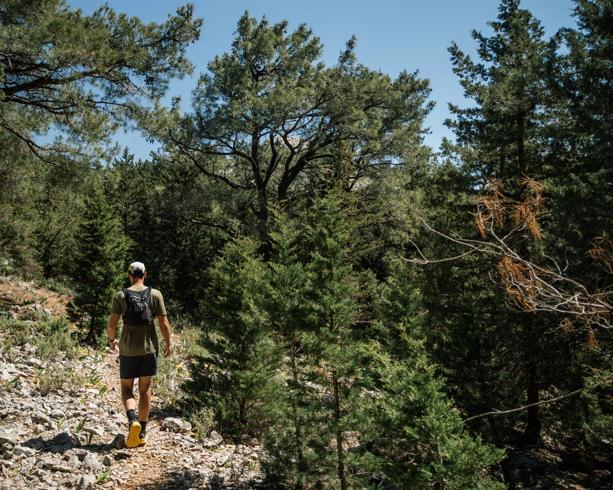 selene-greece-villa-hike-nigel-forest-symi.jpg