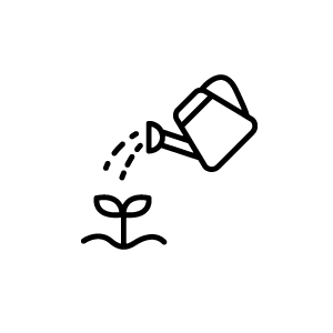 A watering can pouring water on a small plant.