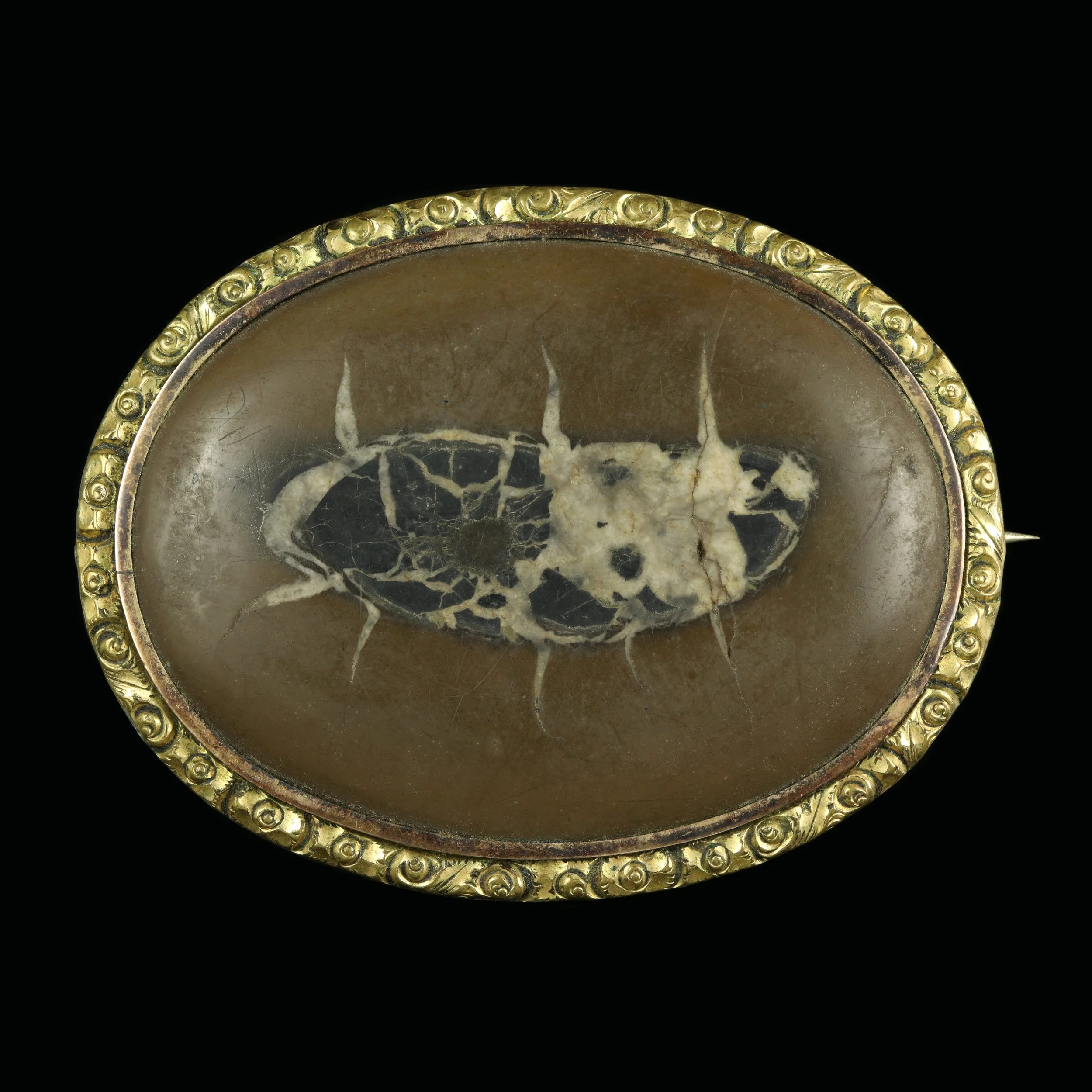 Georgian septaria or ‘dragon stone’ brooch