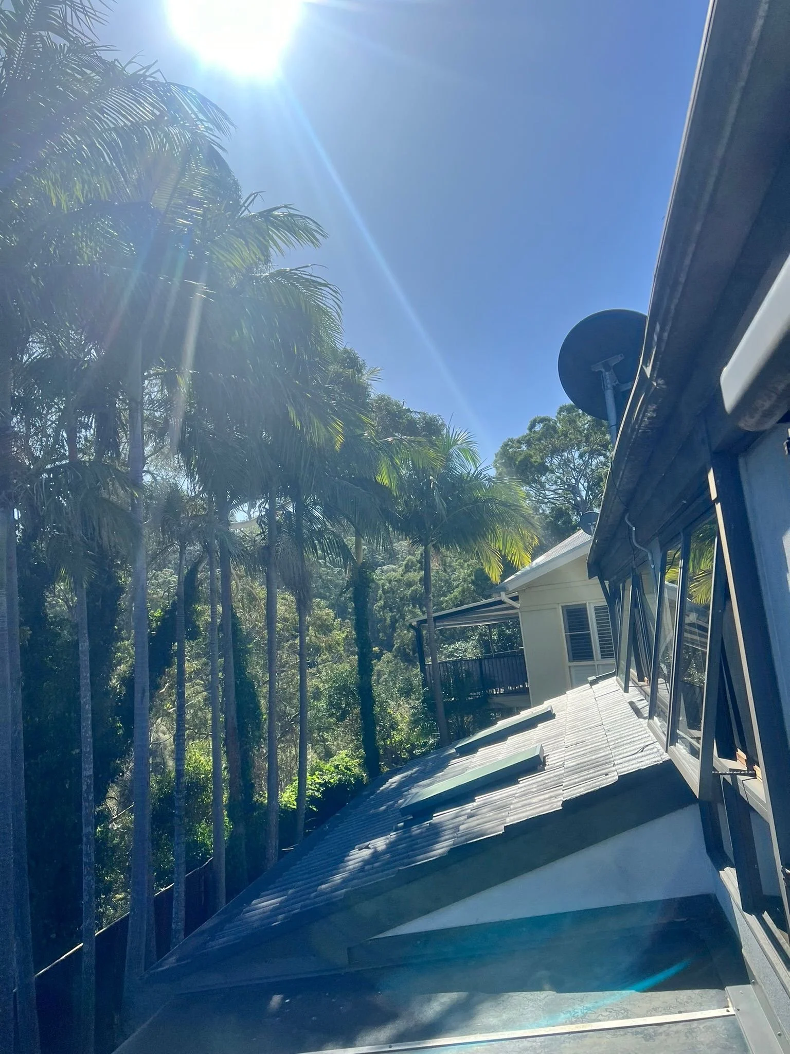 Sunny day with blue sky, sunlight glare, palm trees, house with white roof, and part of a vehicle roof with antennas visible.