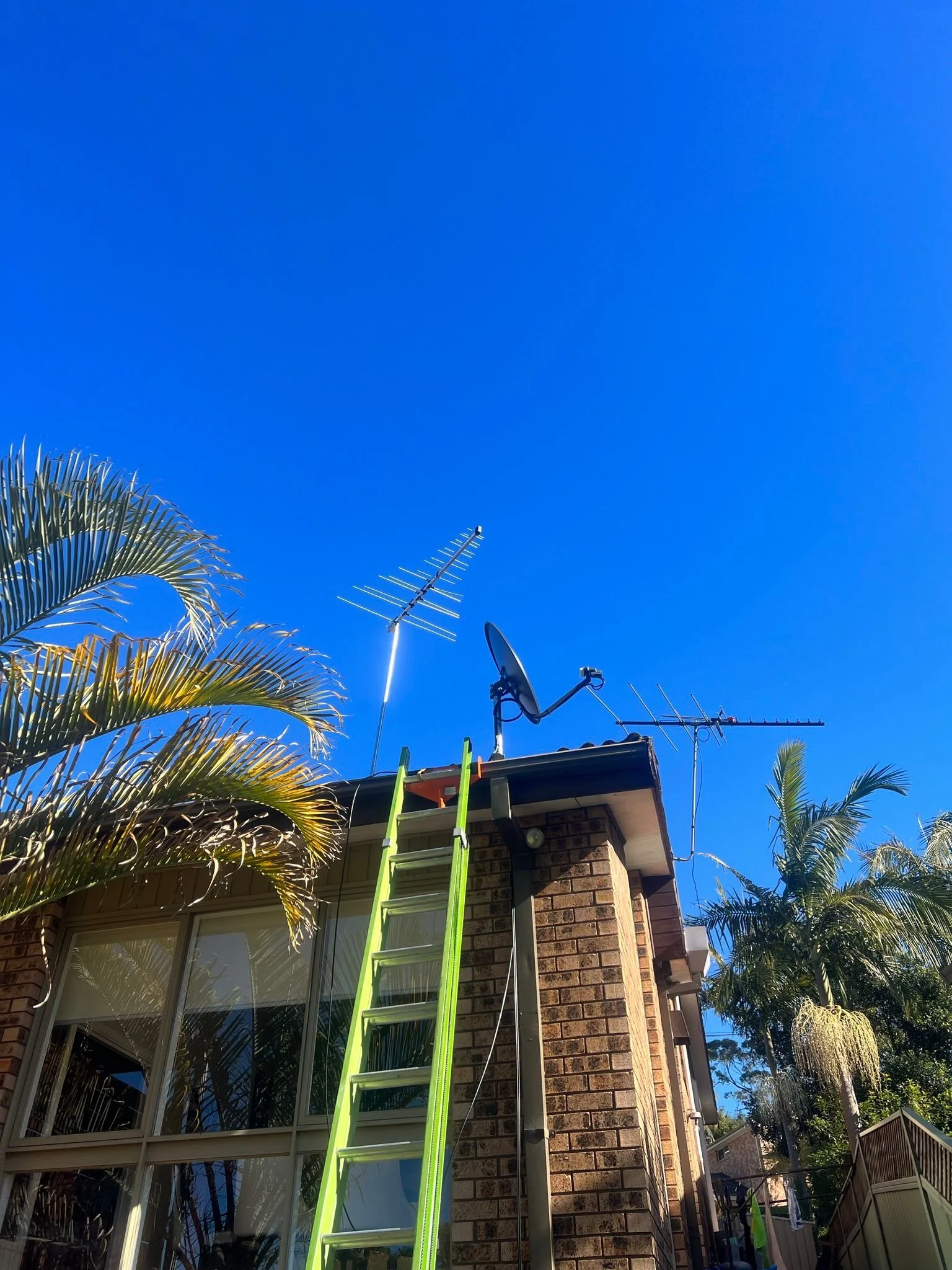The image shows the upper part of a brick house with a green ladder leaning against it. There are two television antennas and a satellite dish on the roof, with palm trees around the house and a clear blue sky above.