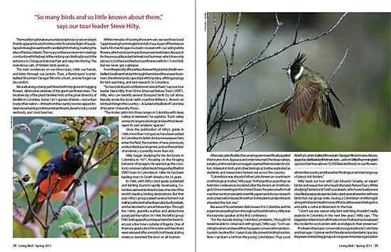 Living Bird Spring 2011.jpg