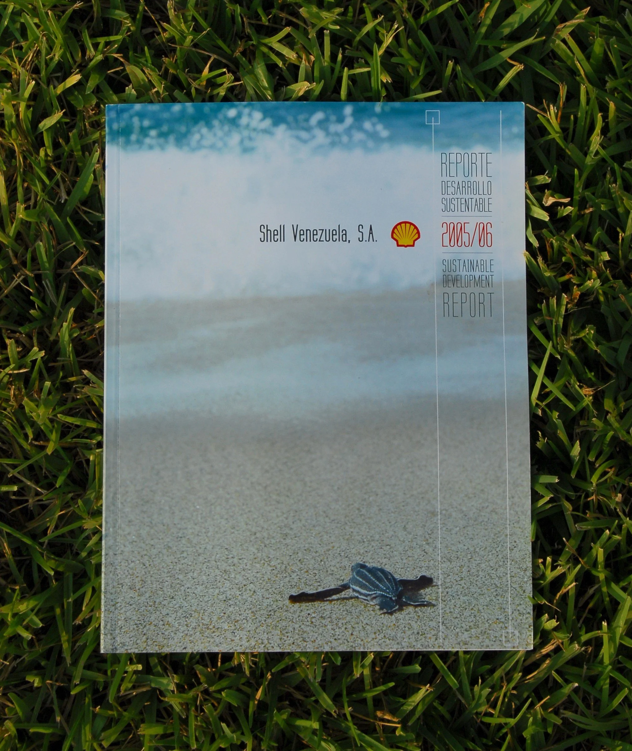 SVSA SD Report 2006.jpg