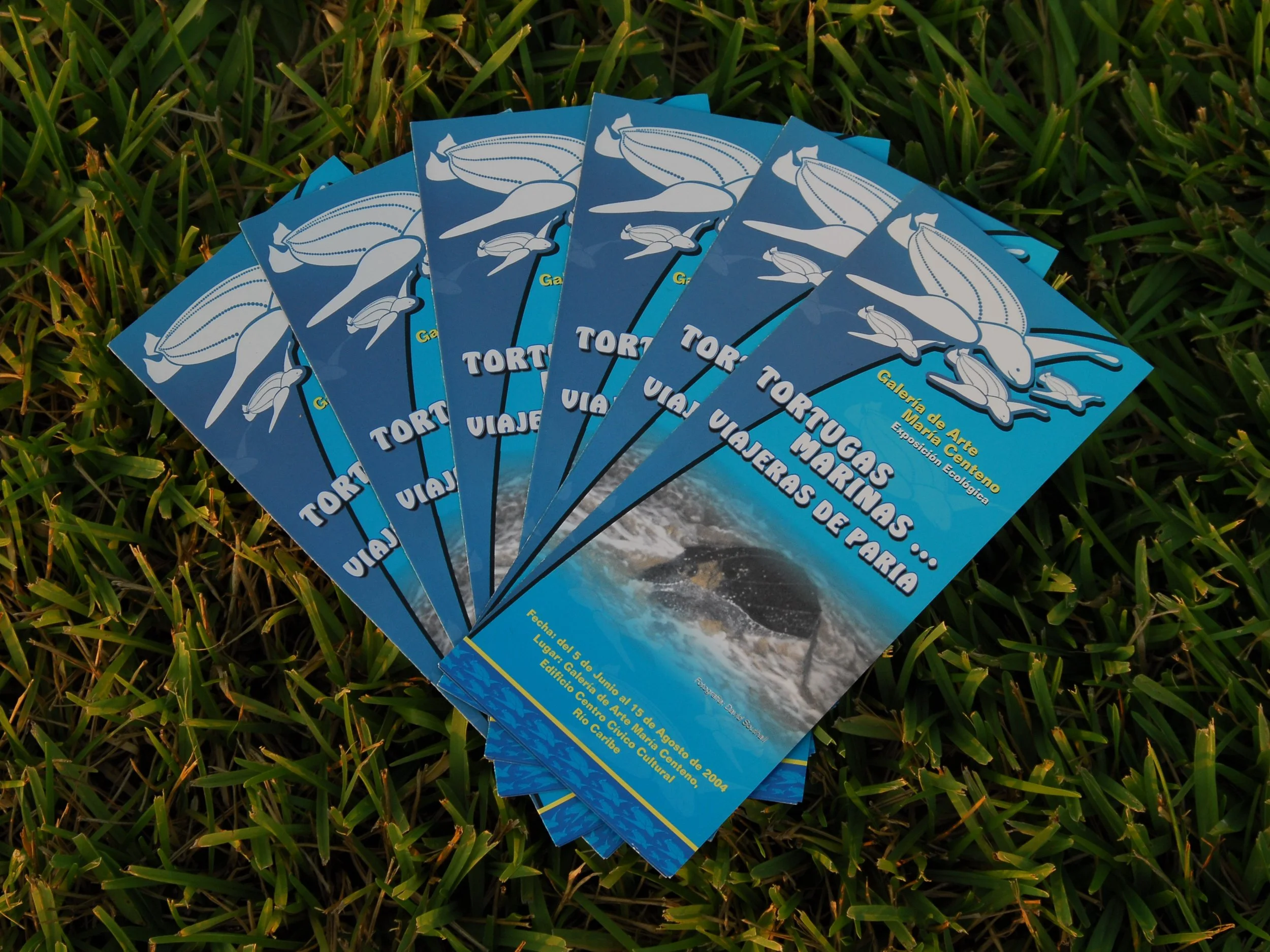 CICTMAR Brochure.JPG