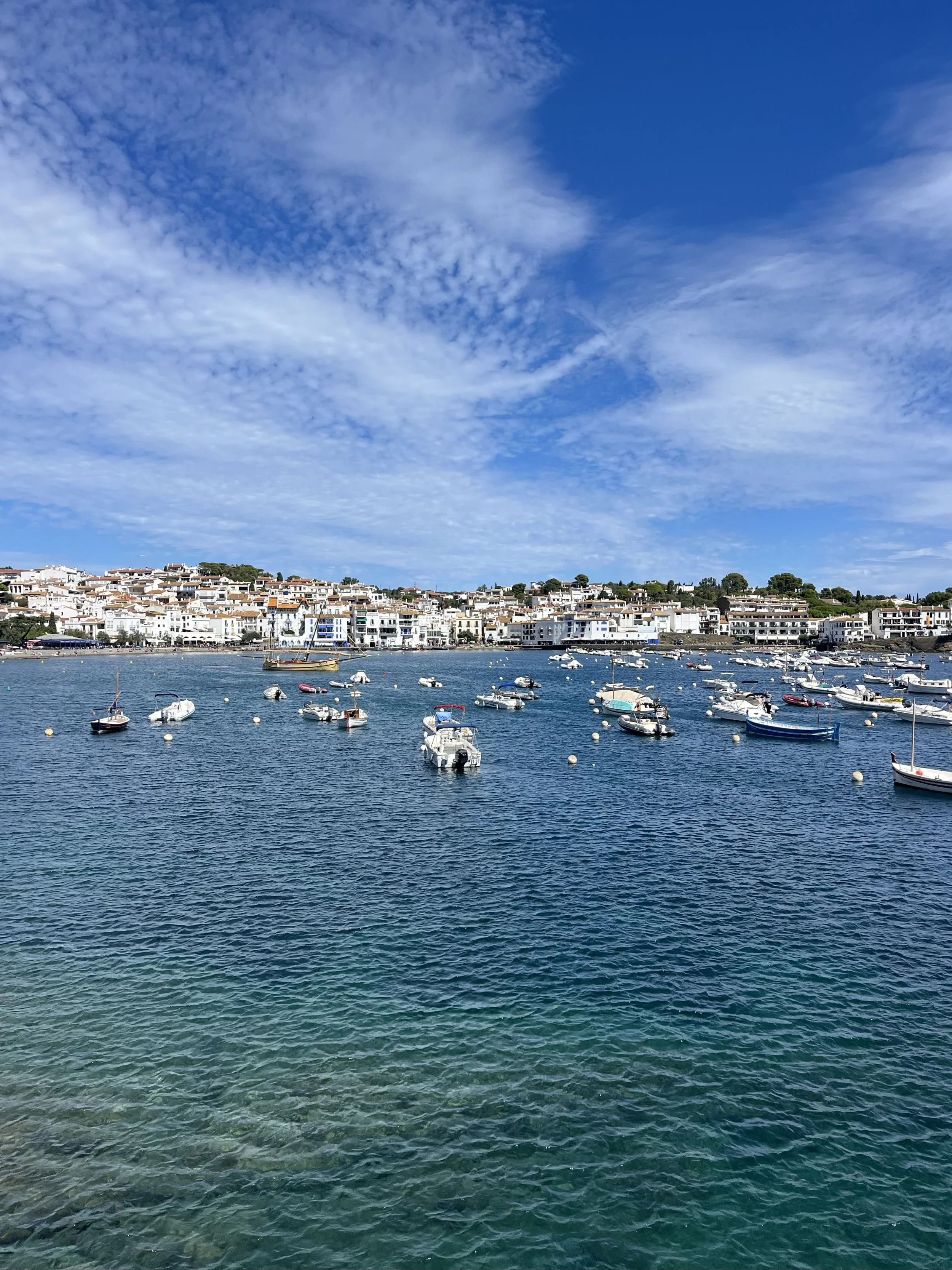 IMG_3729.jpeg