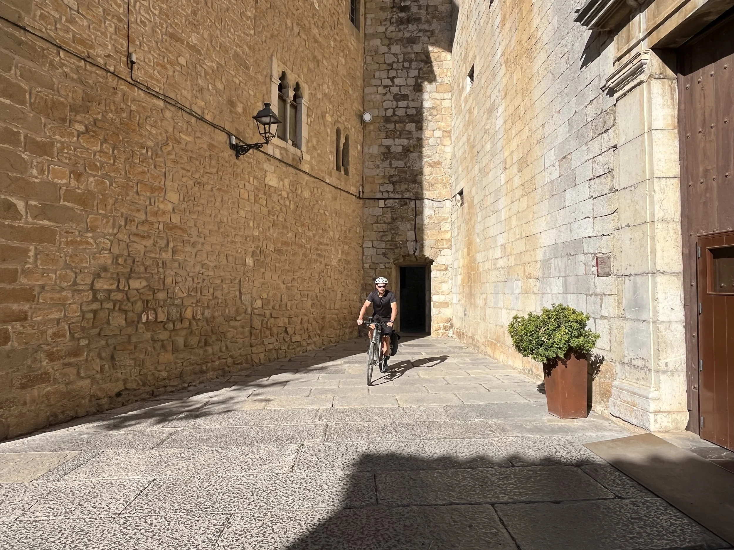 IMG_3979.jpeg