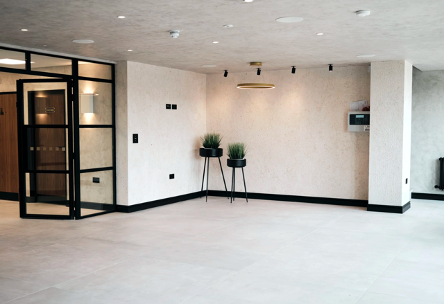 Empty modern room with white walls, black trim, two potted plants on tall stands, and a glass door entrance.
