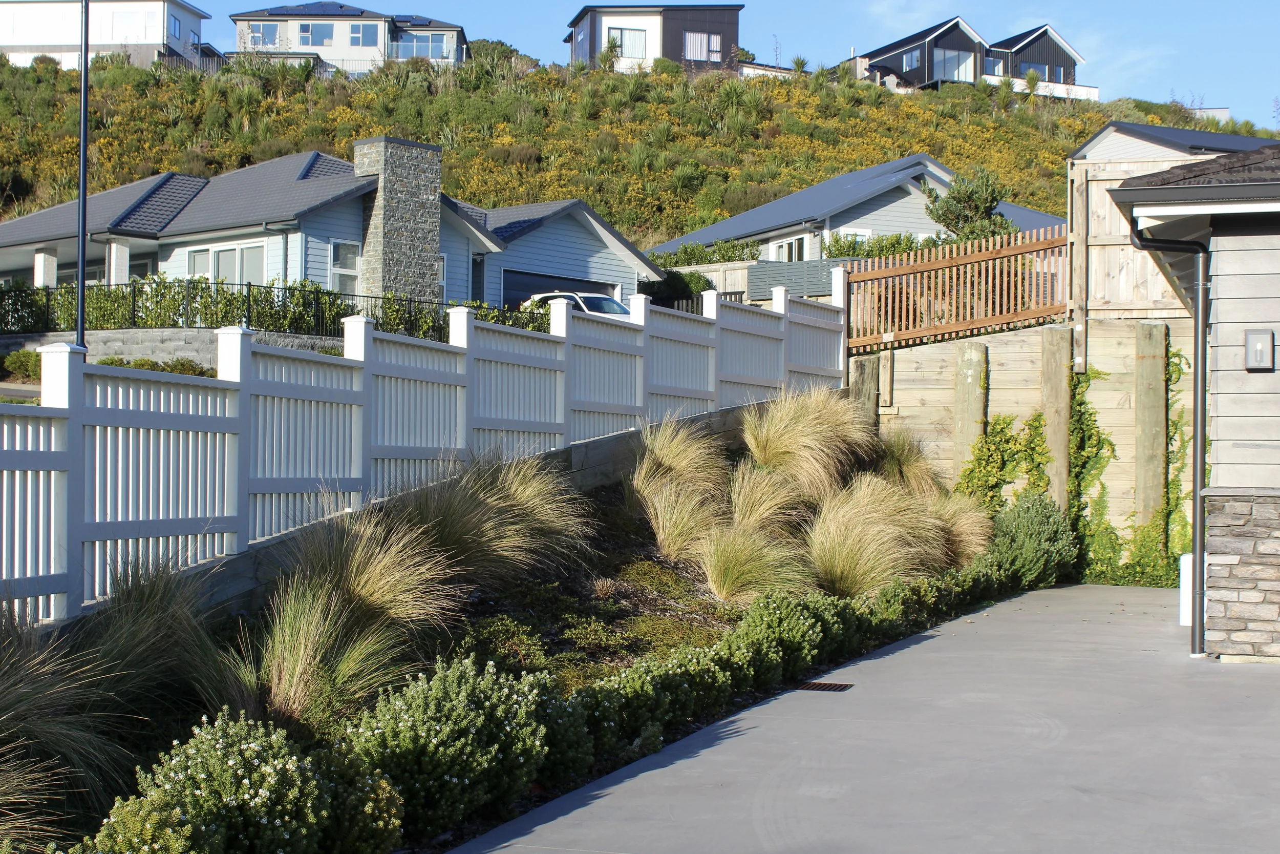 Planted out bank to fill the space, sprawling over the formal hedging species in front.