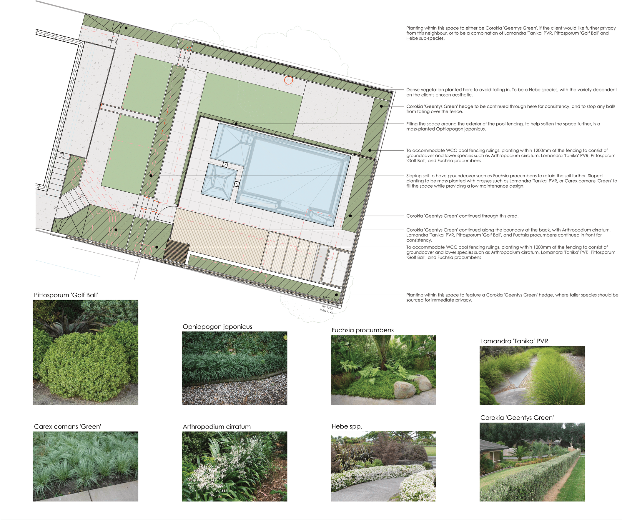 Ferry Street Construction Documentation 3.png