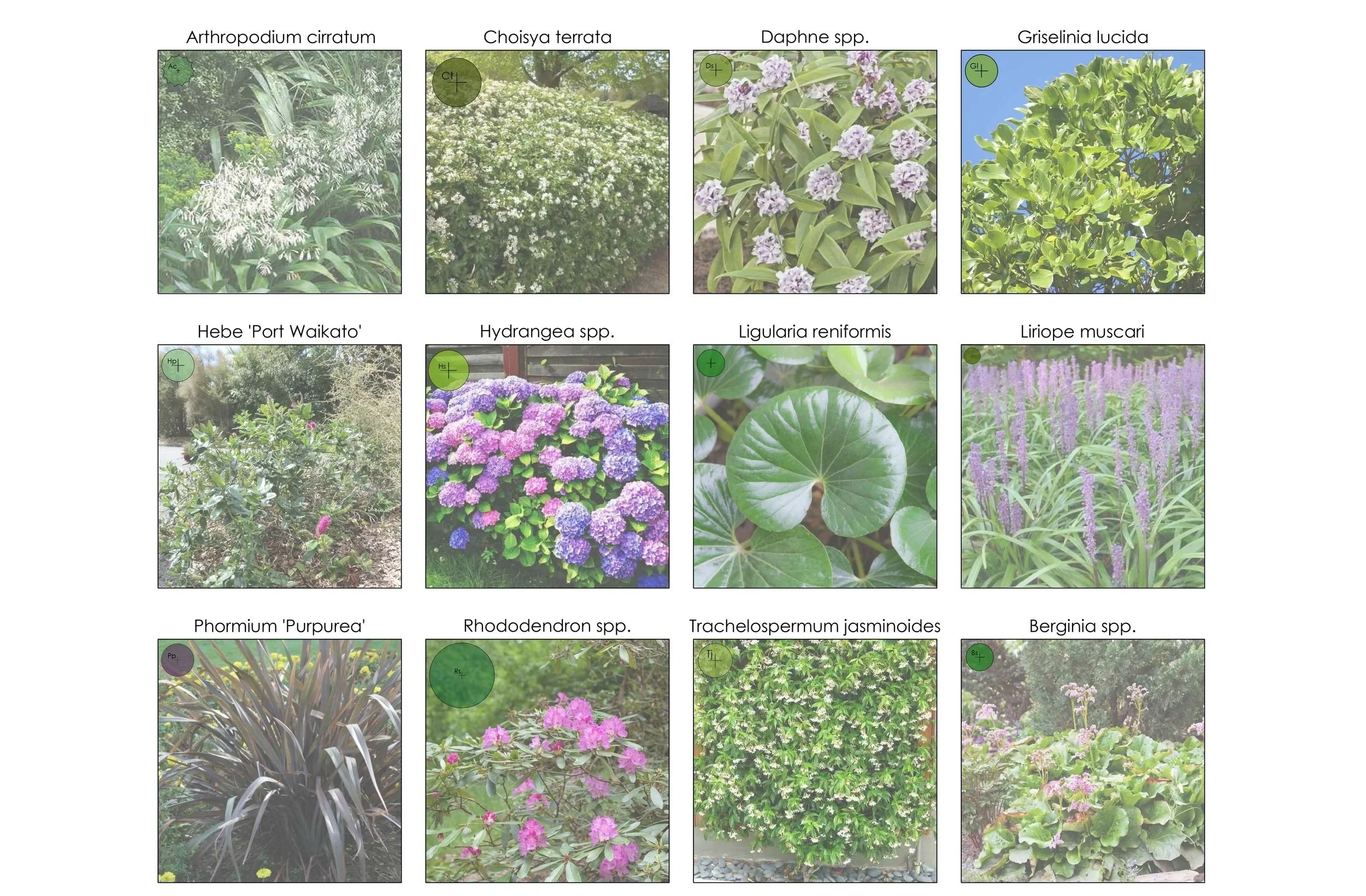 Monaghan Avenue Plan 3.jpg