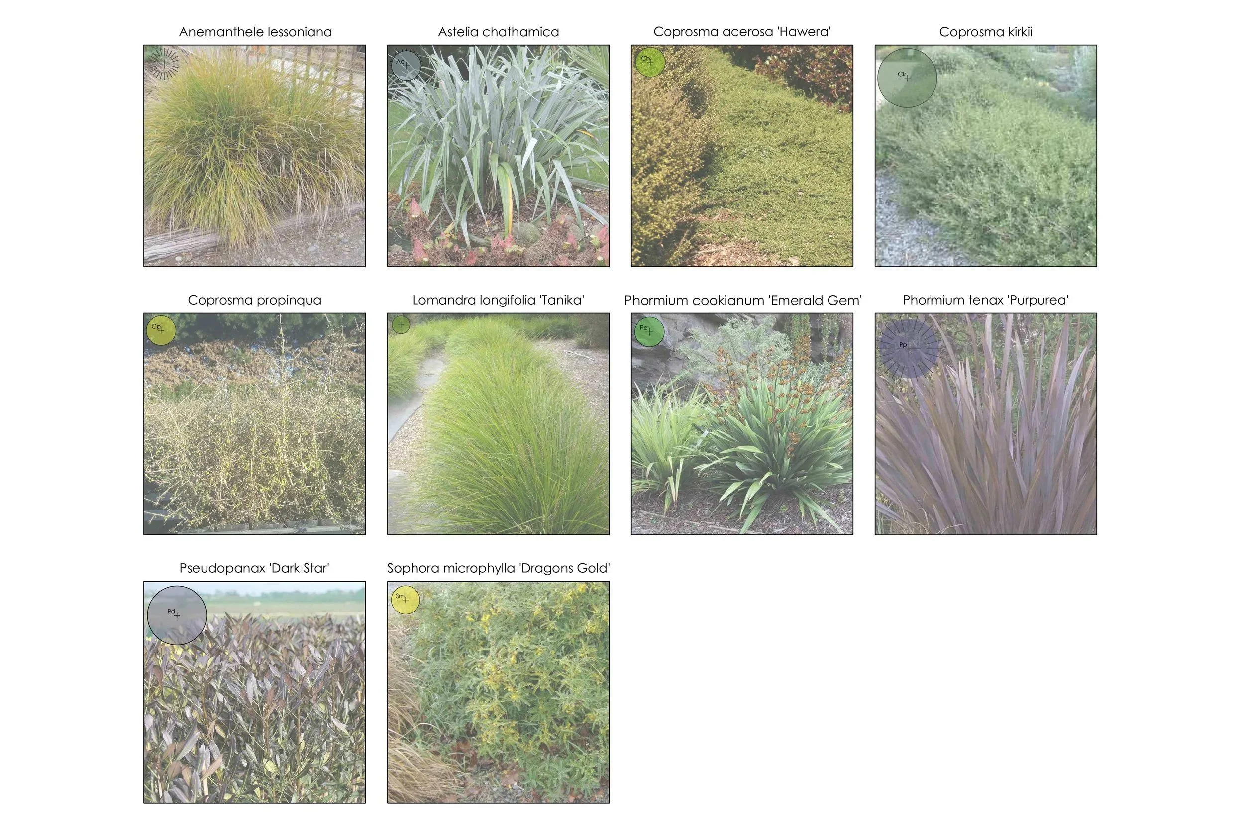 Wellington College Plan 4.jpg