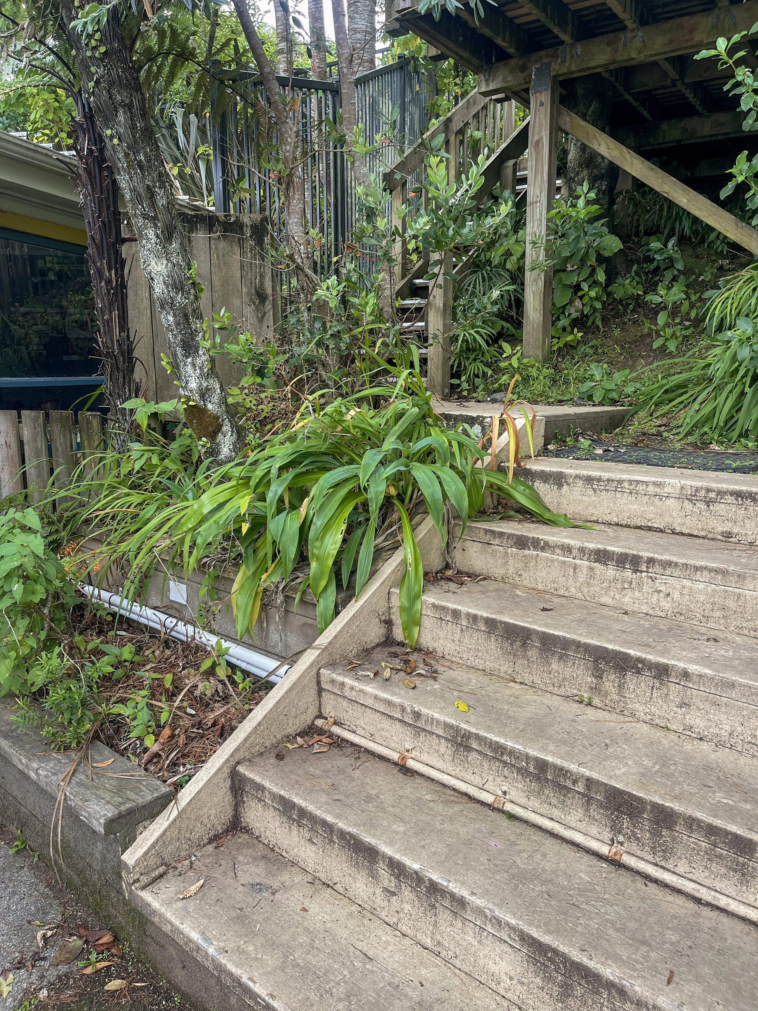 Falling hazards were clear throughout the site.