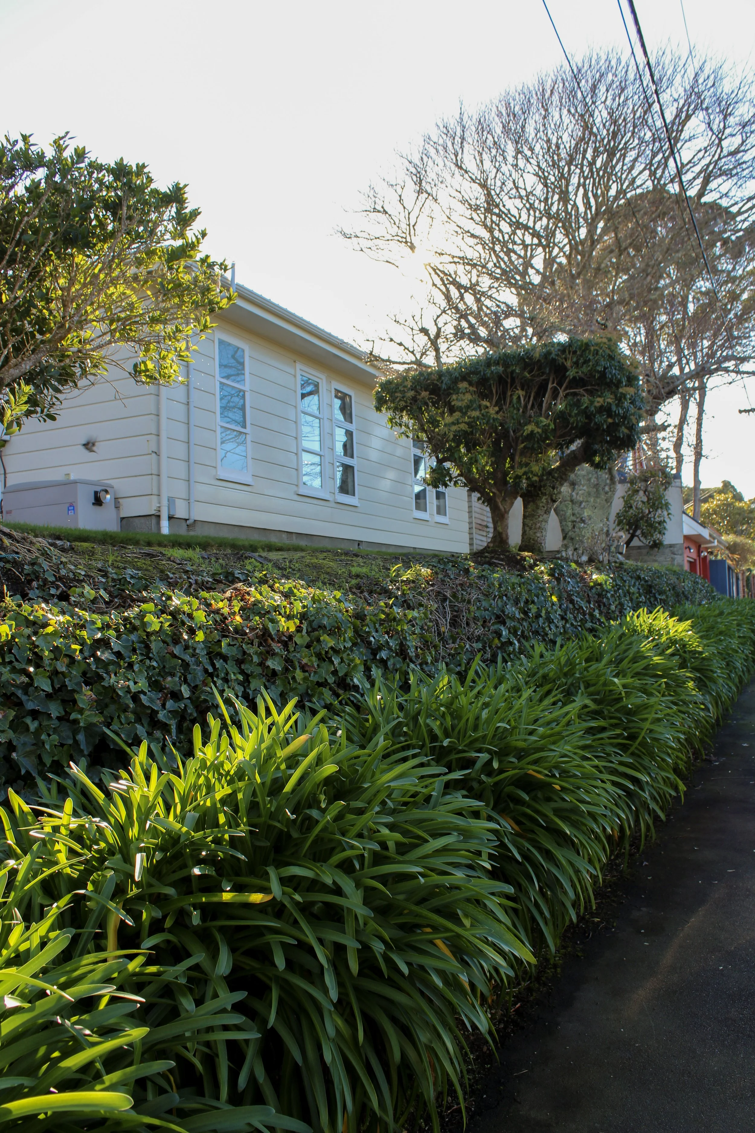 Removal of the aged fencing and ivy helps to show the house to the road, building its presence.