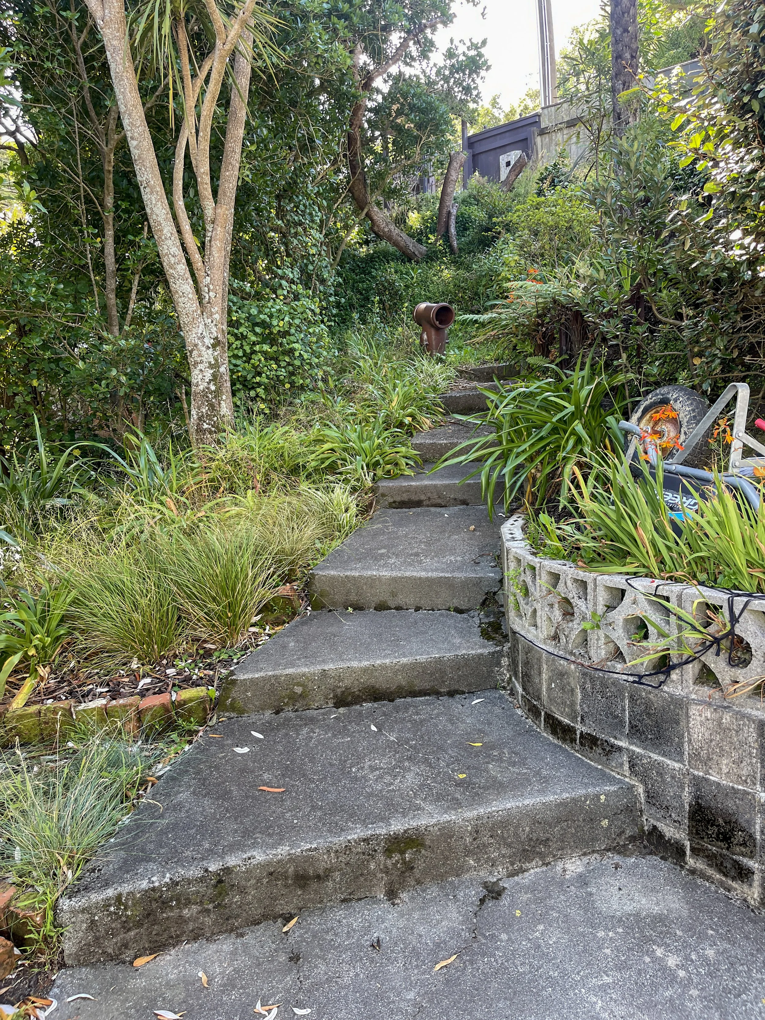 The existing access down to the bottom of the property.