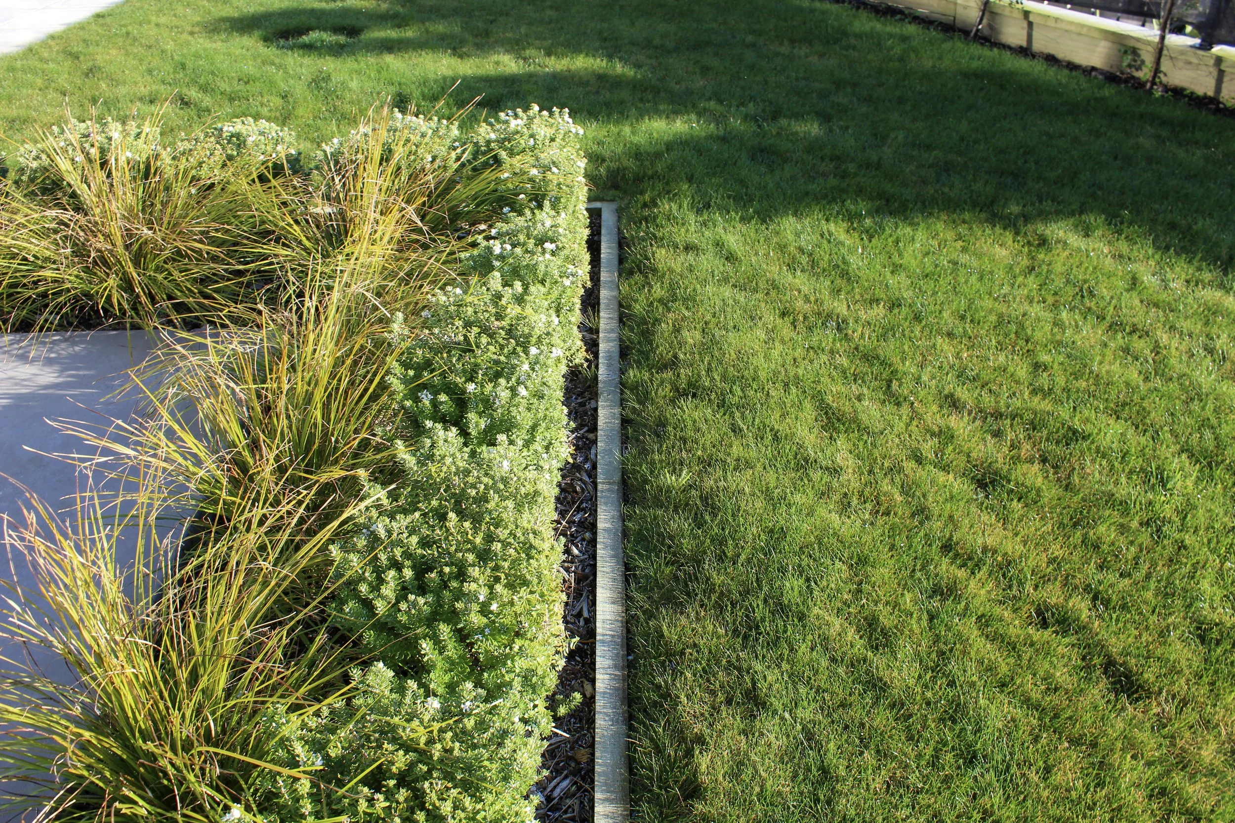 Formal lines help to provide structure, while making the area easier to maintain.