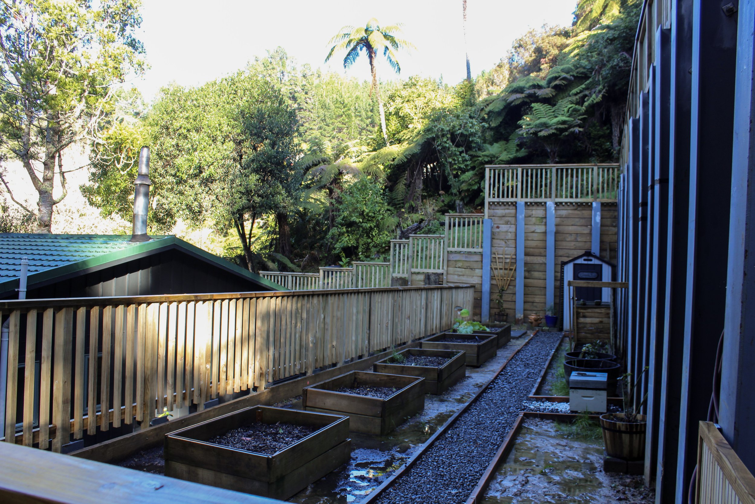 View of the area between walls 1 and 2.