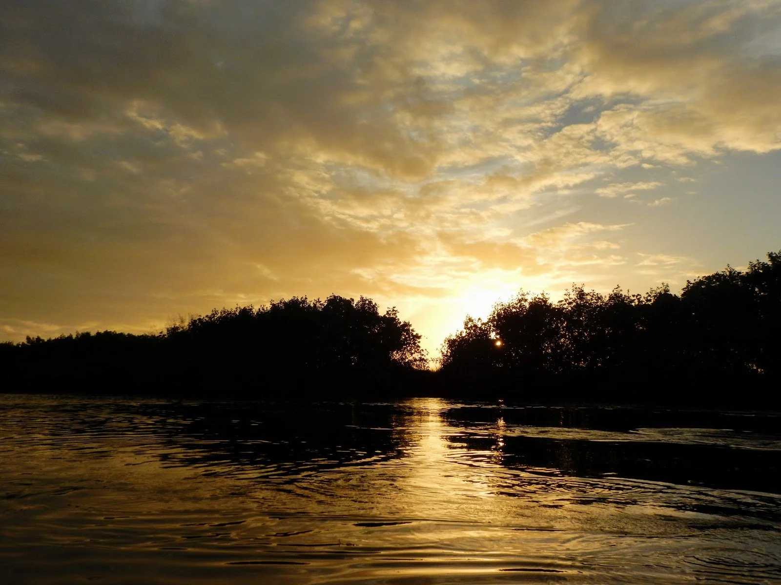 Sunset over a body of water with trees silhouetted against a partly cloudy sky.