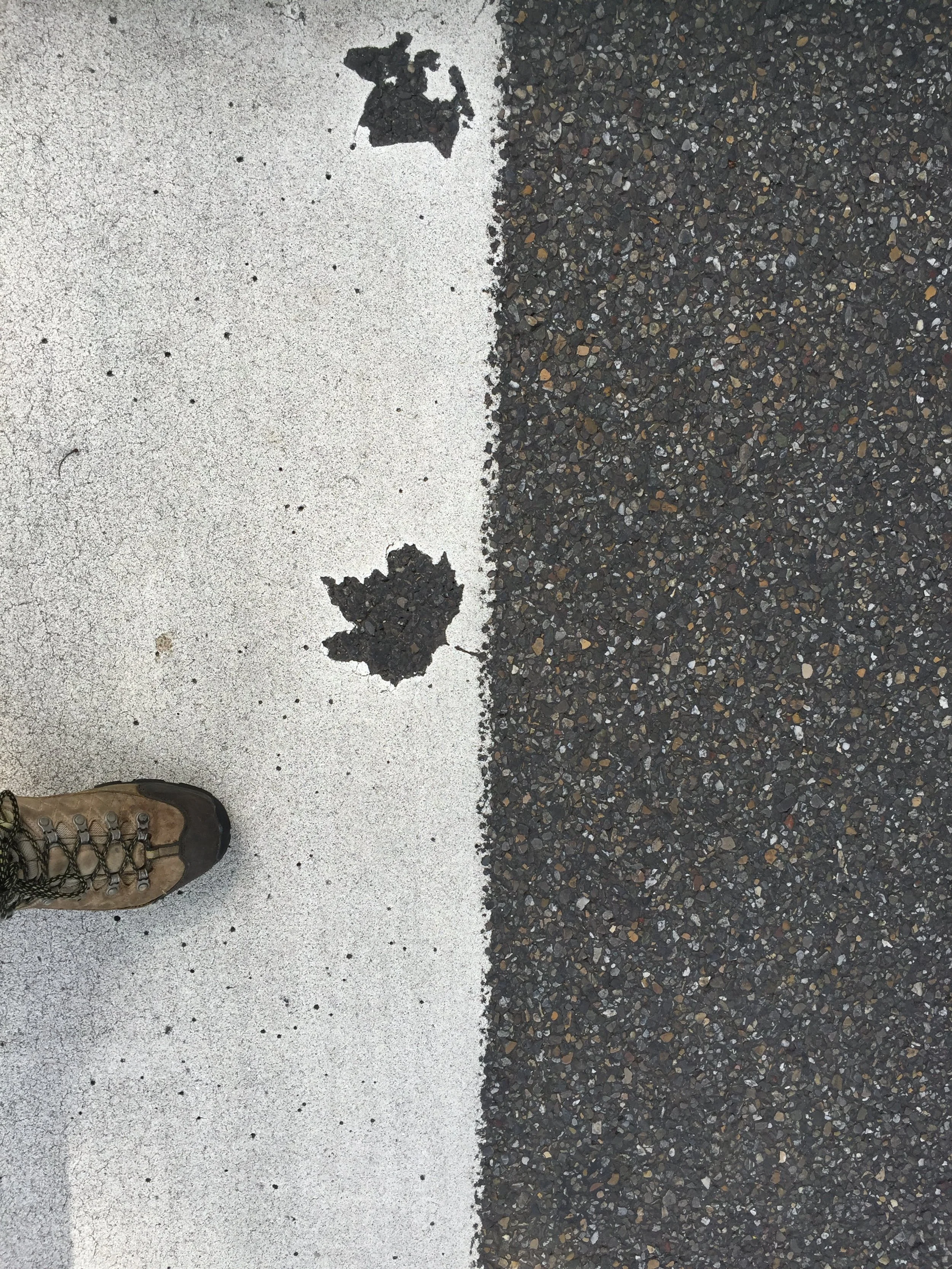 A person walking on a sidewalk, with one shoe visible at the bottom left corner. The sidewalk has a white painted line dividing a smooth, light-colored section from a rough, dark asphalt section. There are two leaves on white section of the sidewalk.